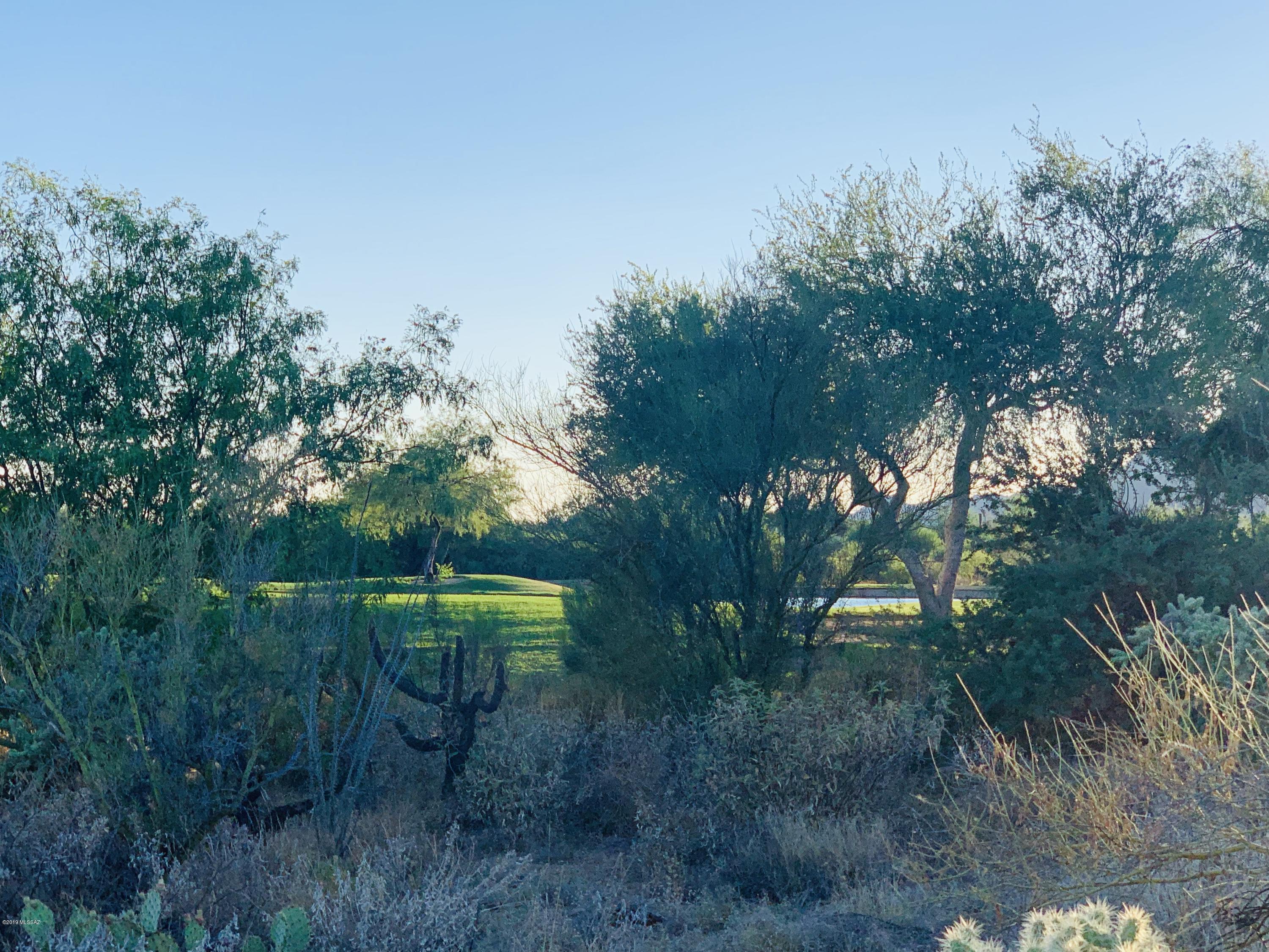 Stone Canyon's infamous #10 Fairway & Lake.  Best price ever offered! Fabulous location. Close to Driving Range, Club House and Gate. Save your money on site prep and use it to build the home you've always dreamed of.  Golf and Lake View await you from your back patio.  Catalina Mountains from your front courtyard. Sunsets to die for.  Call for a tour of the homesite and amenities.