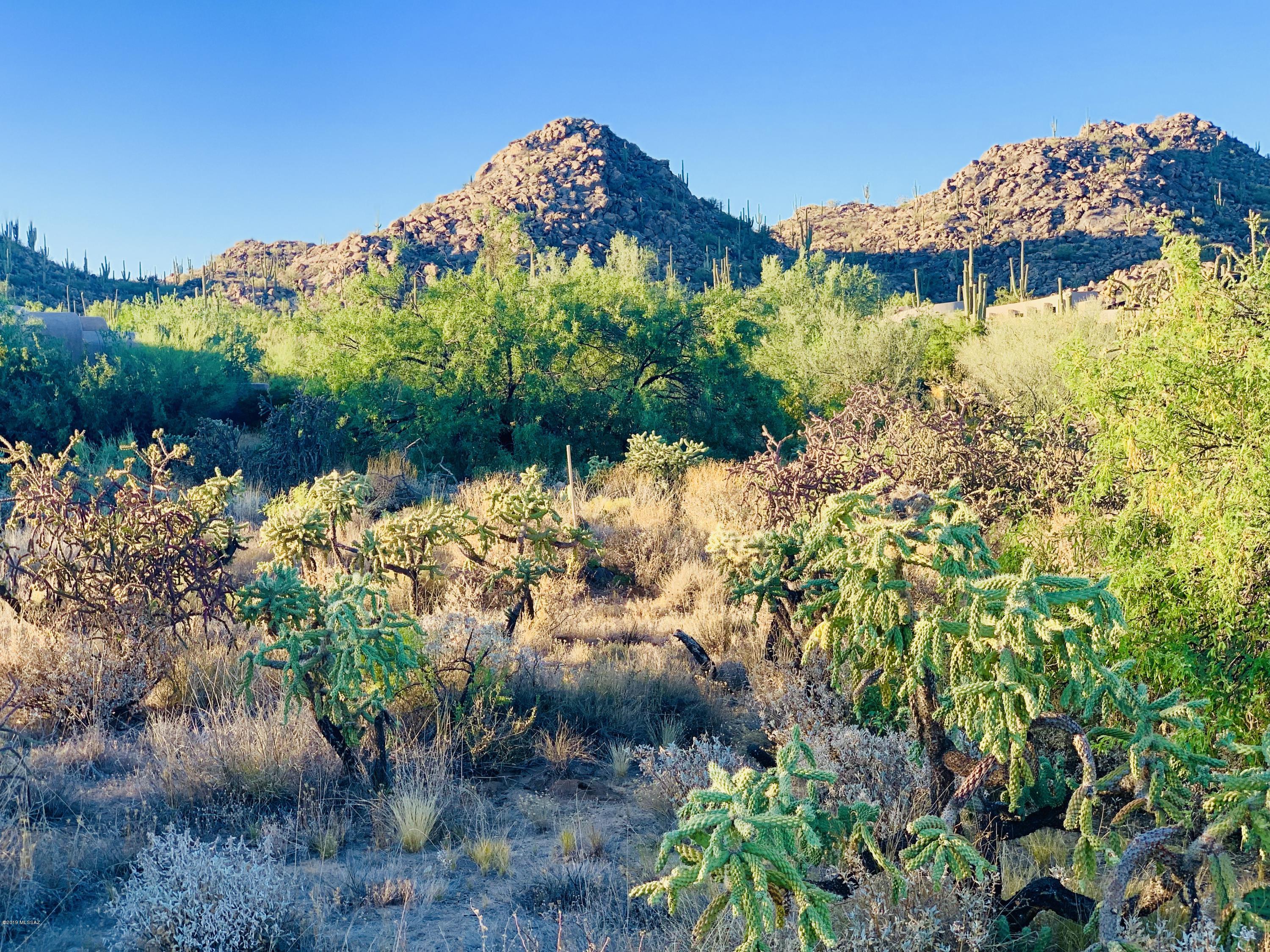 Stone Canyon I - Land