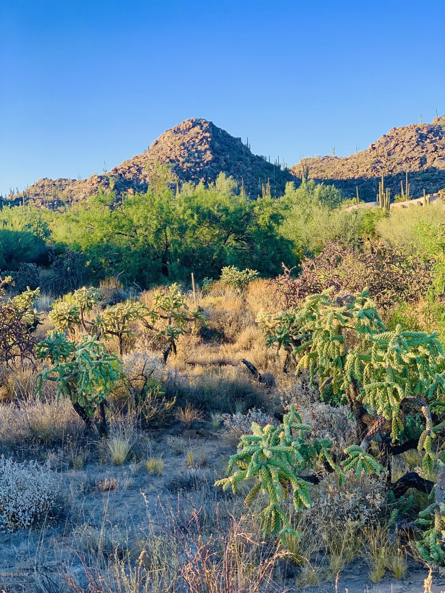 Stone Canyon I - Land