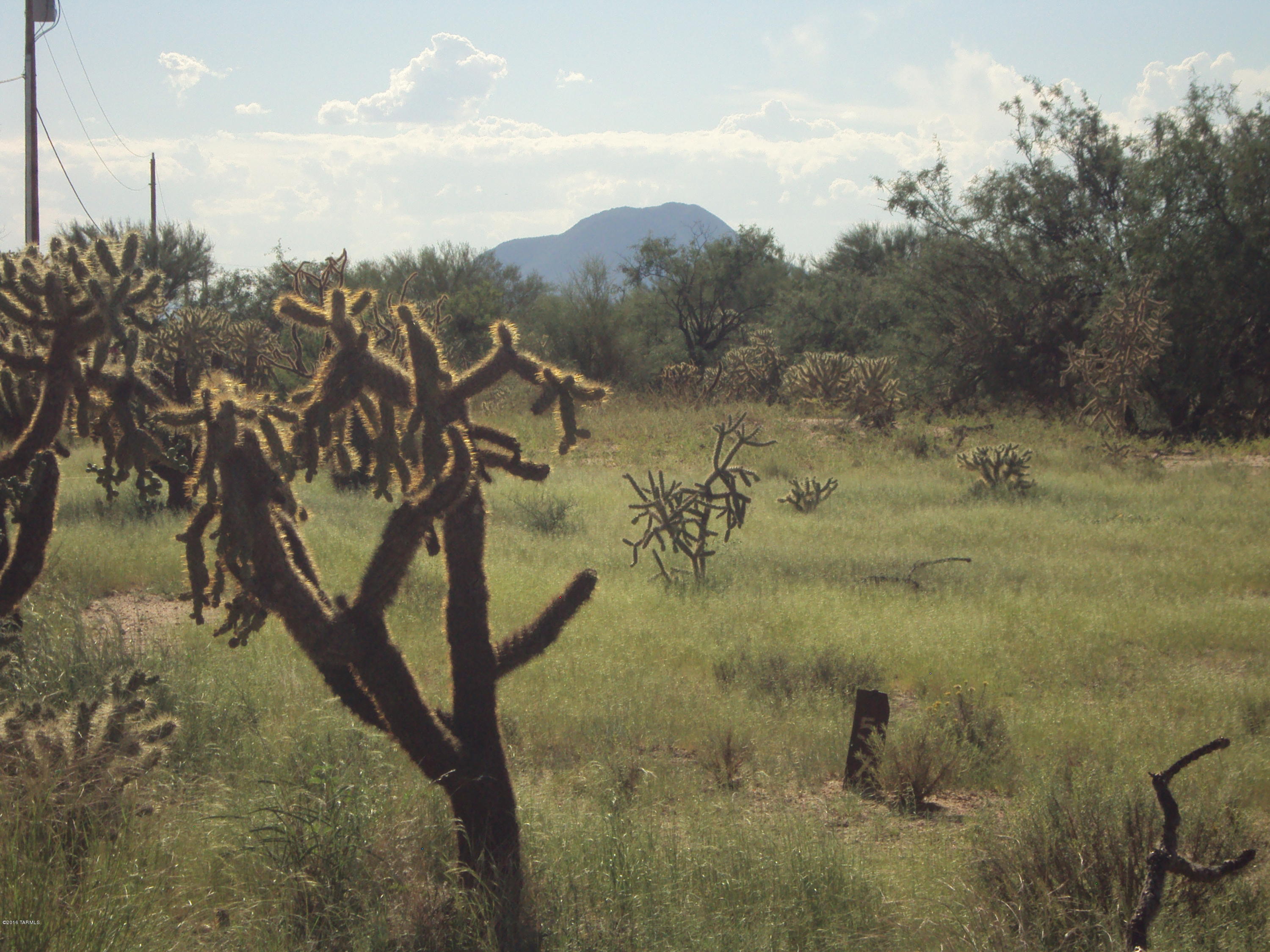 Diamond Bell Ranch - Tucson (1-229) - Land