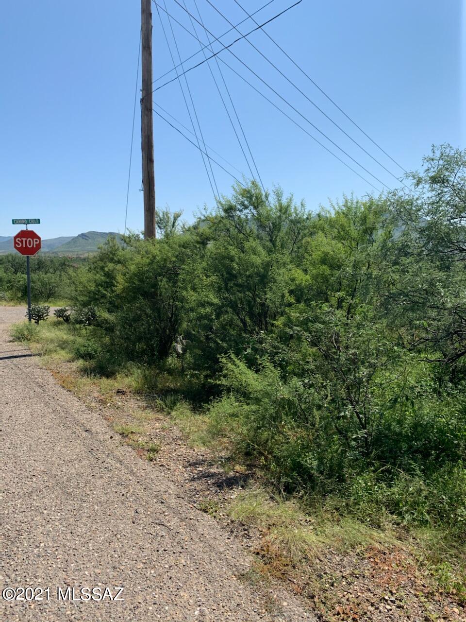 Rio Rico Estates - Land