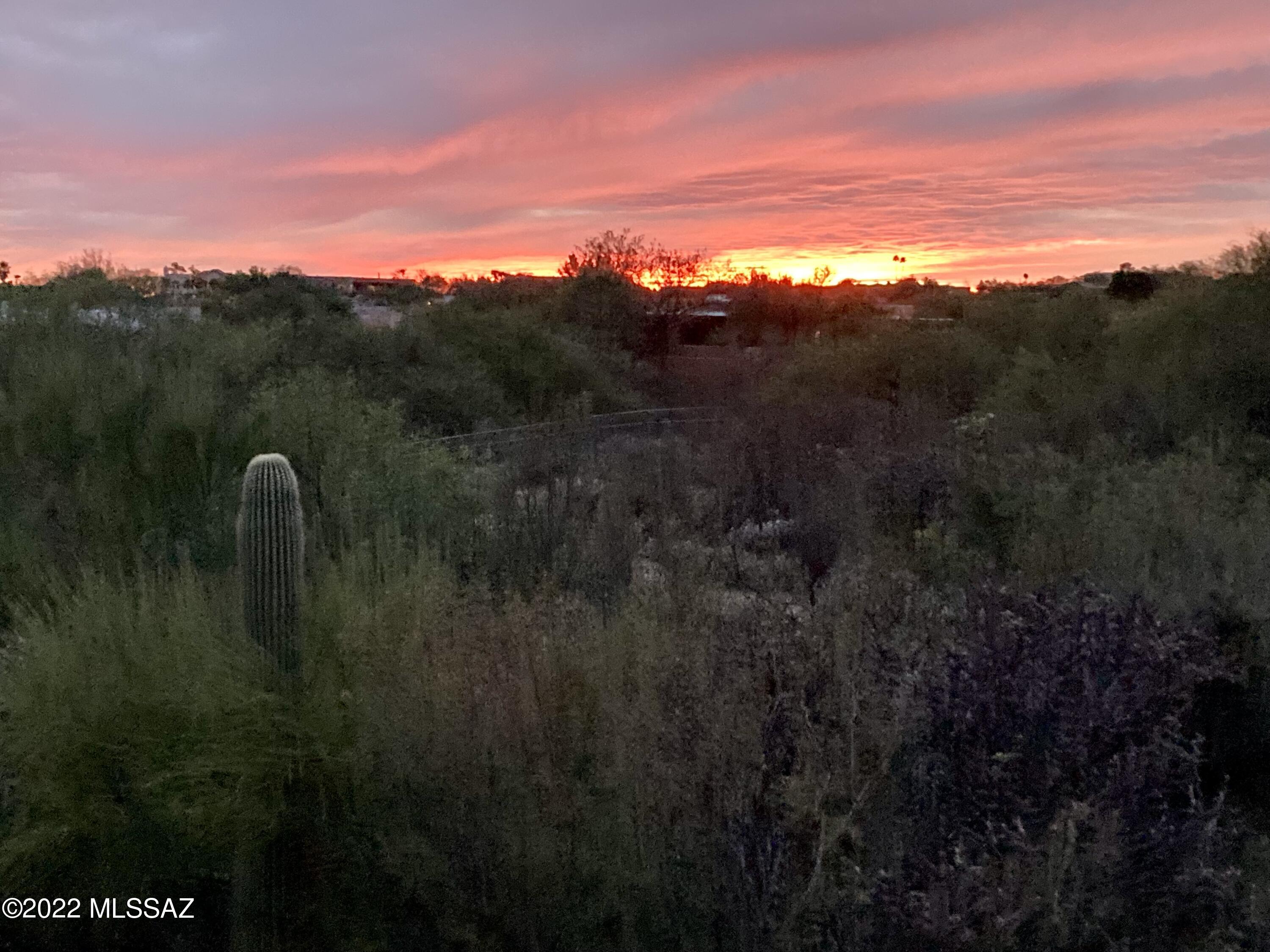 Greens at Ventana Canyon - Residential