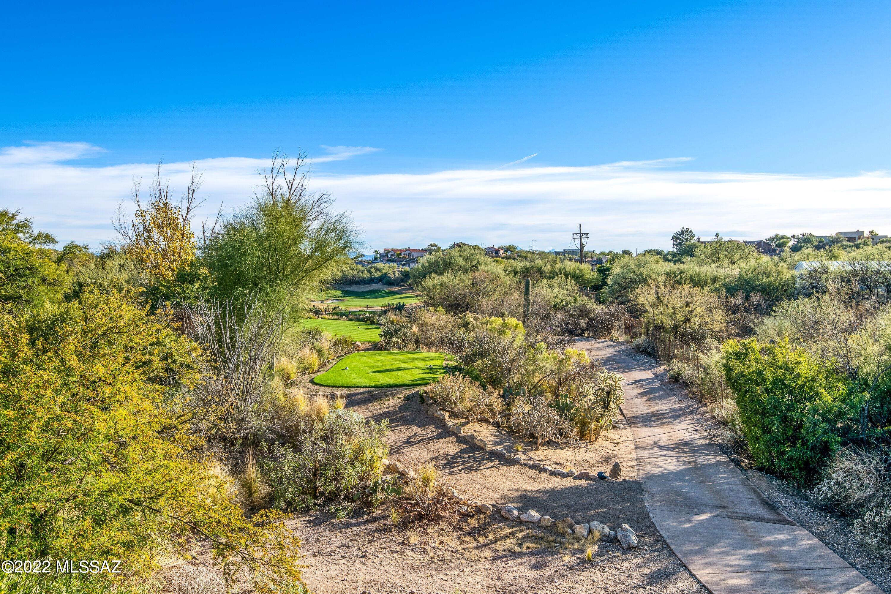 Greens at Ventana Canyon - Residential