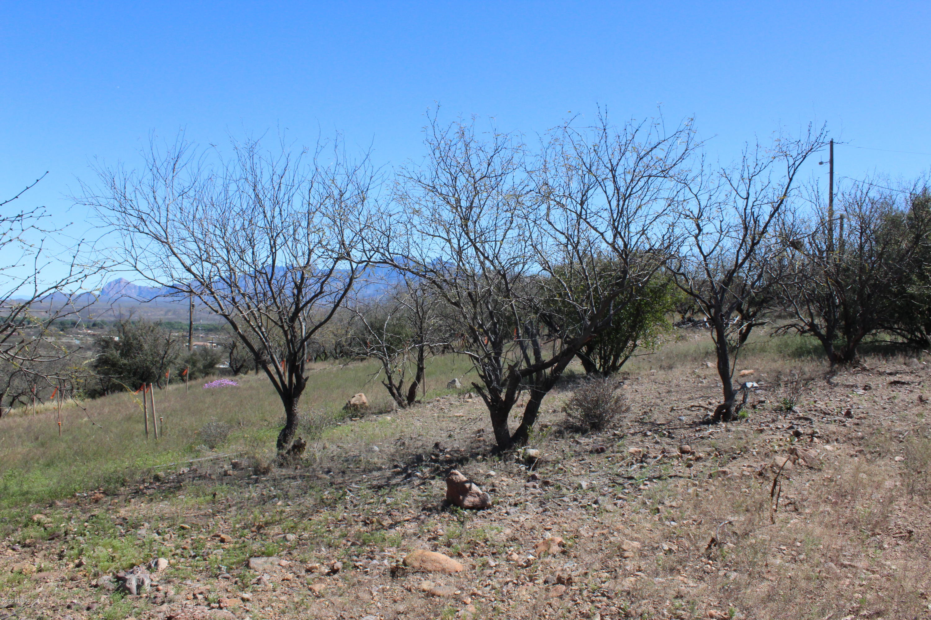 Tubac Heights - Land
