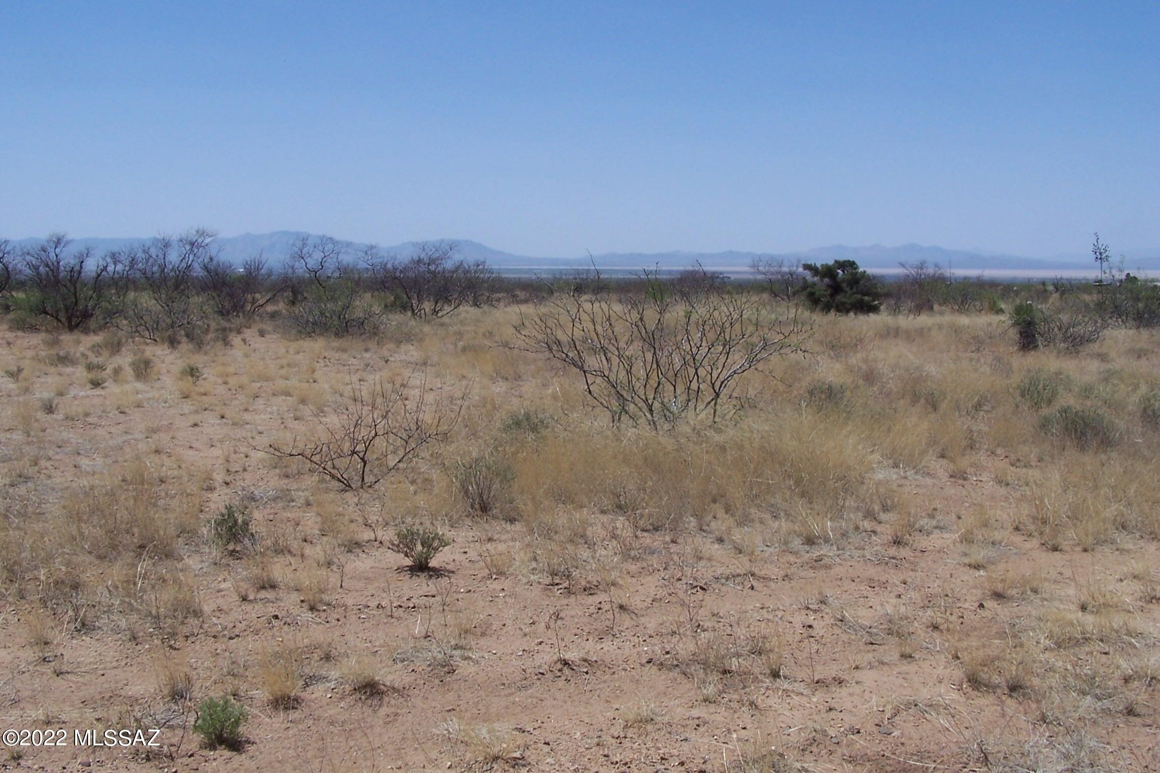 Chiracahua Trail Ranches - Land