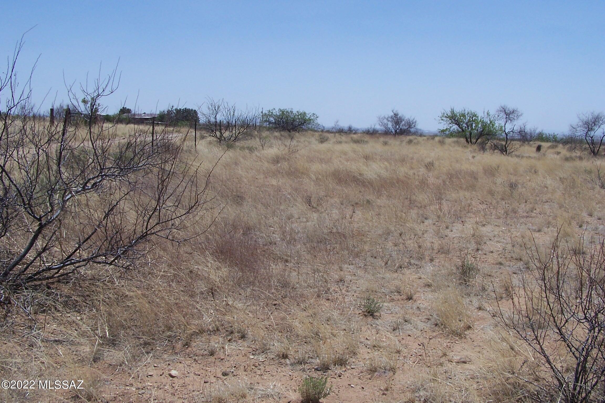 Chiracahua Trail Ranches - Land
