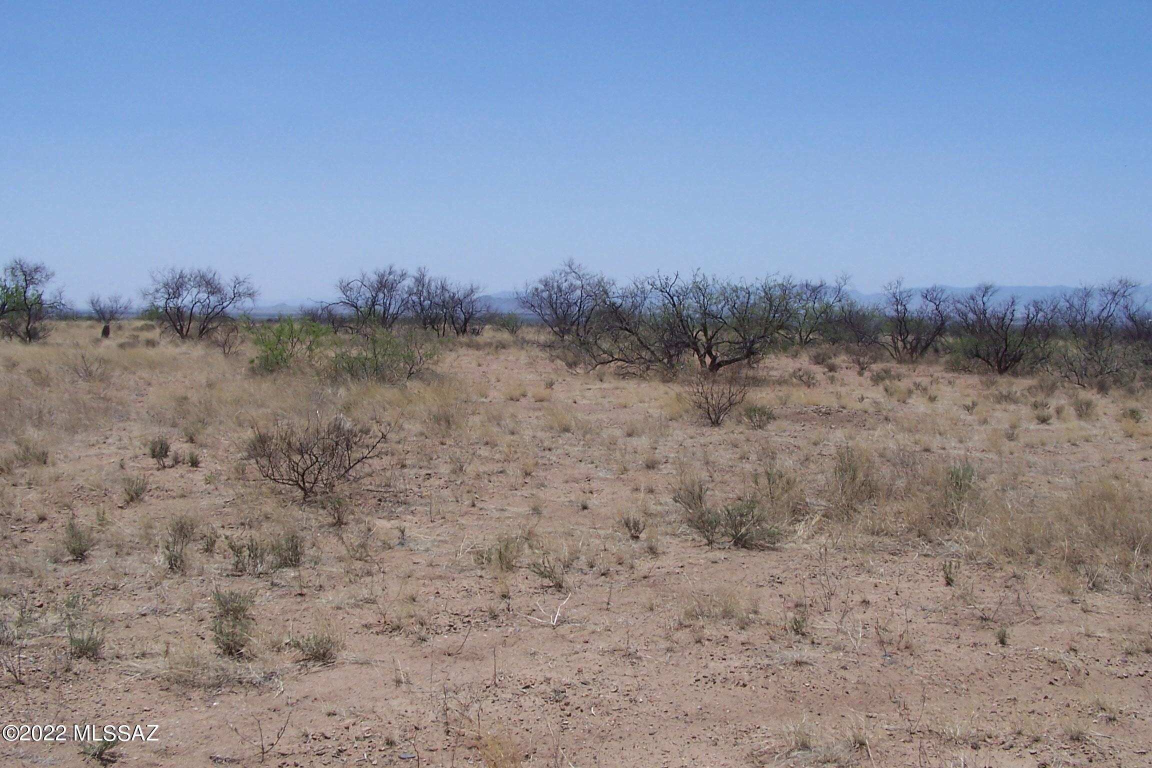 Chiracahua Trail Ranches - Land