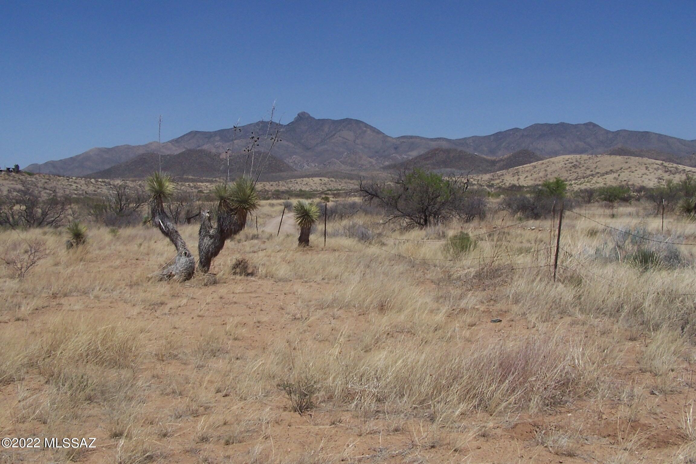 Chiracahua Trail Ranches - Land
