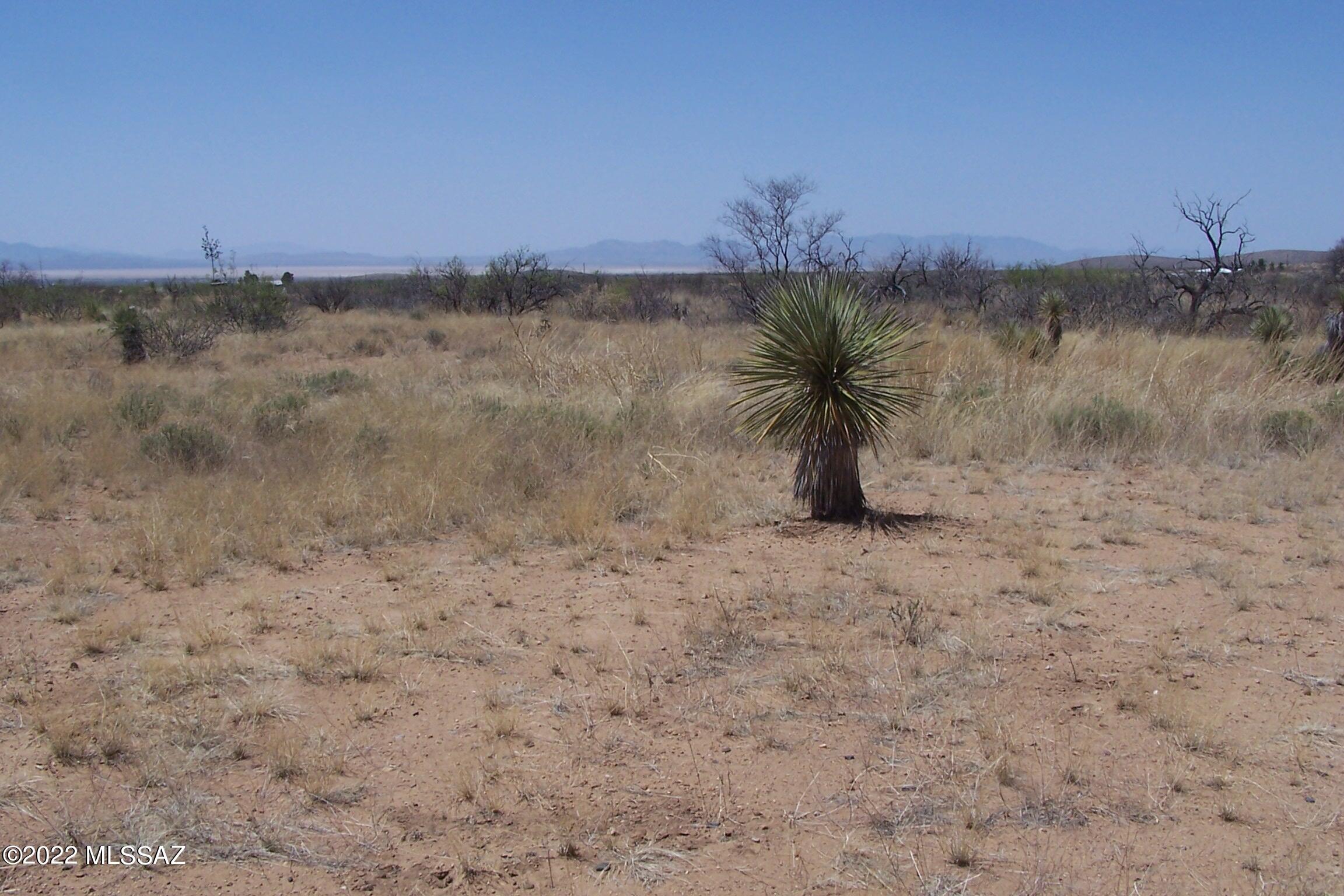 Chiracahua Trail Ranches - Land