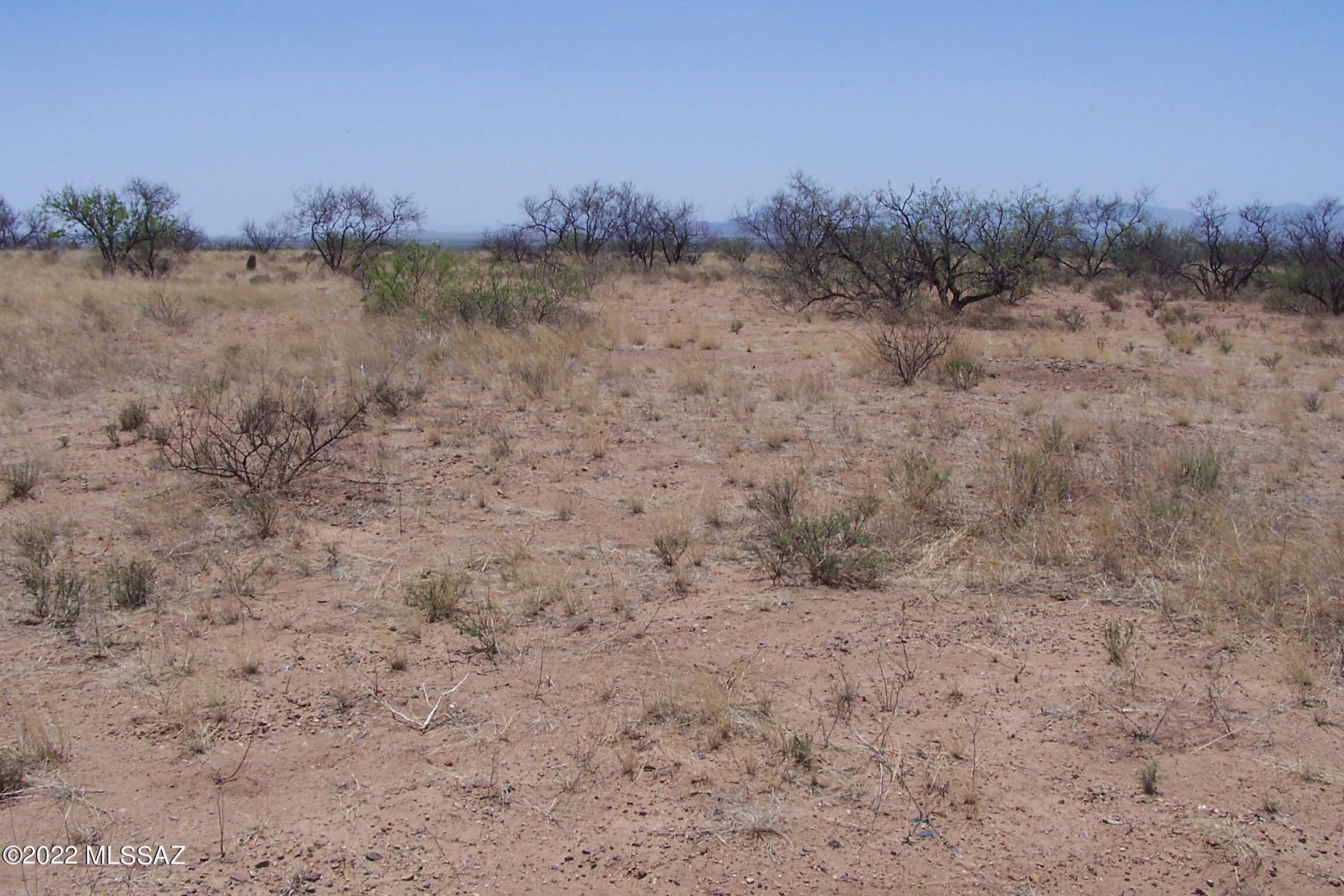 Chiracahua Trail Ranches - Land