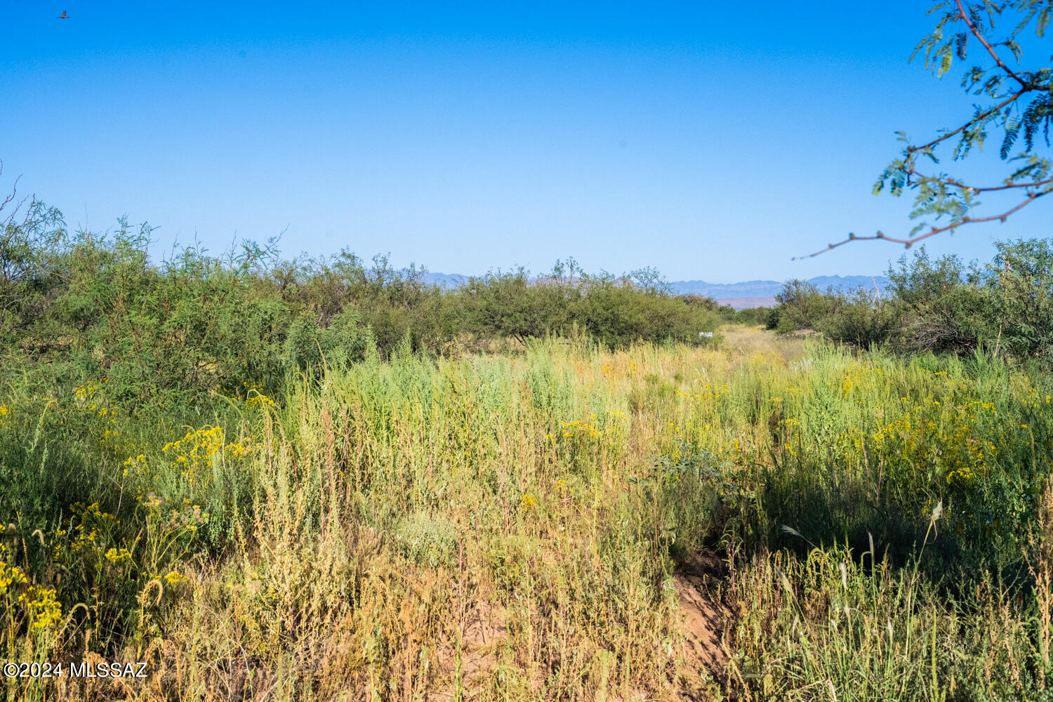 Arizona Sun Sites - Land
