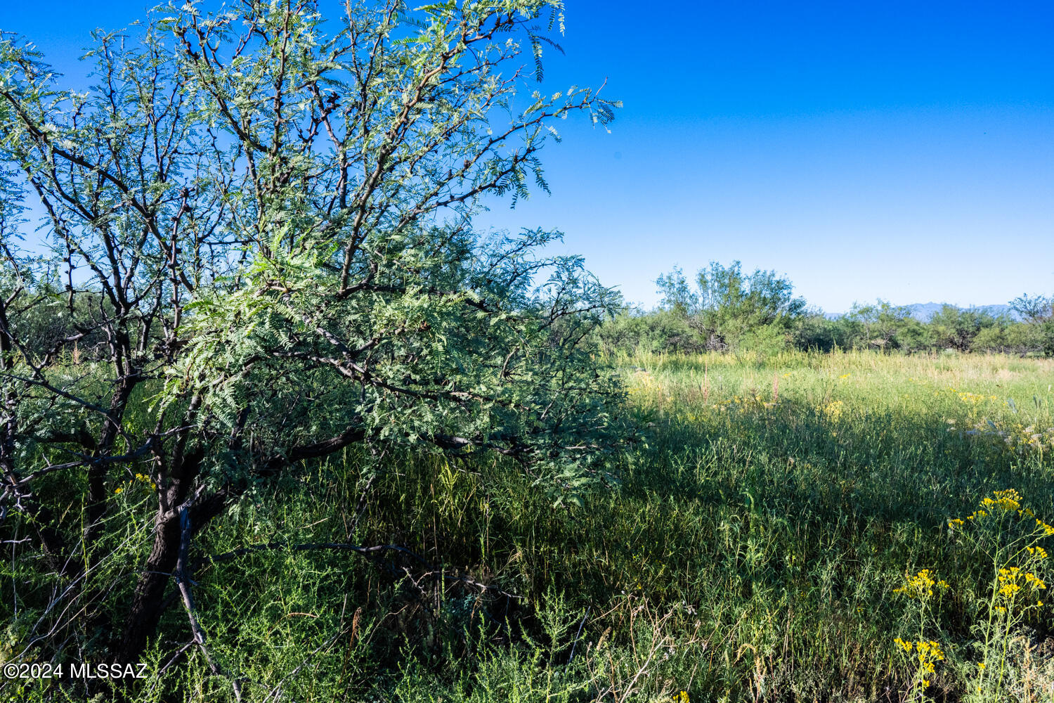 Arizona Sun Sites - Land