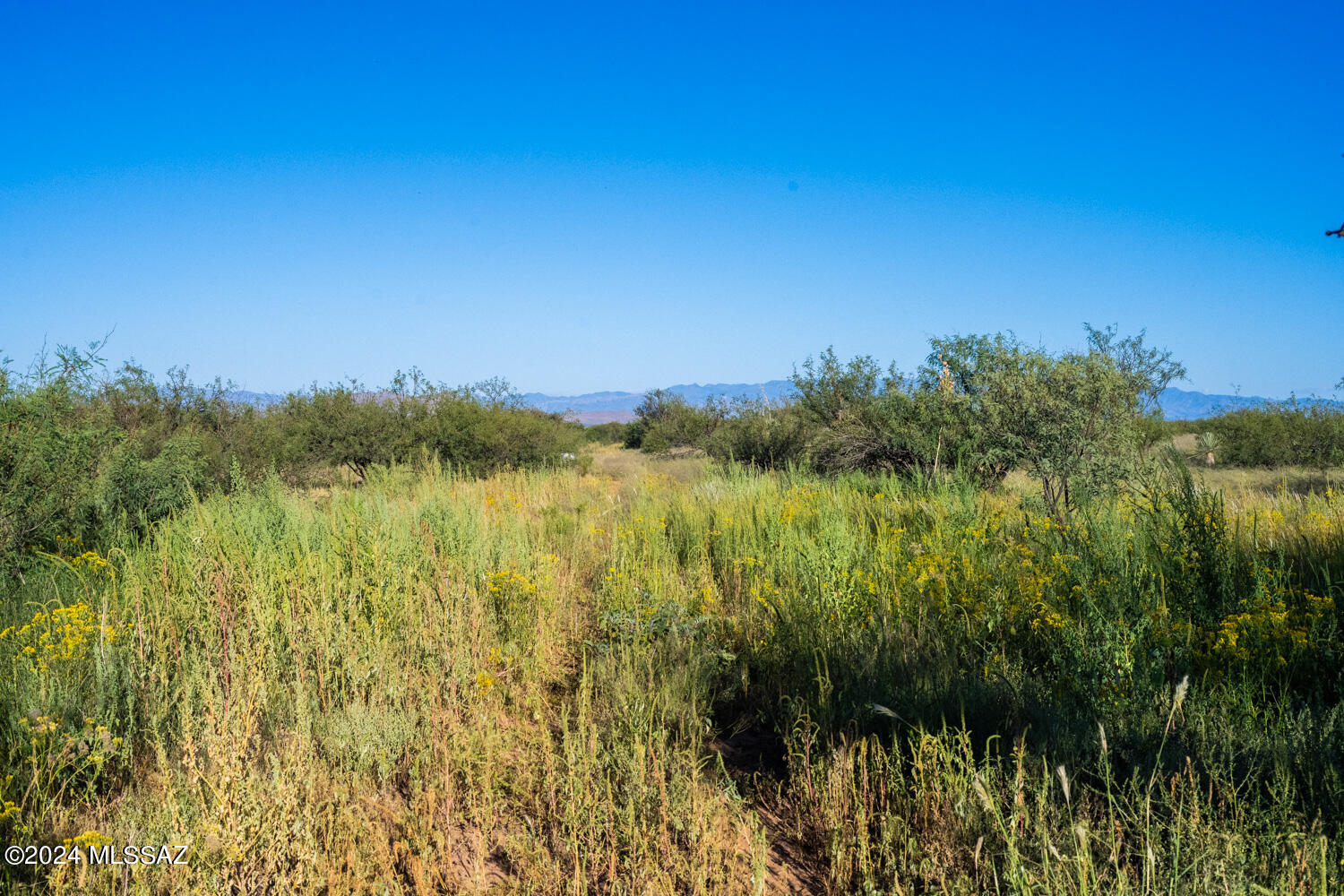 Arizona Sun Sites - Land
