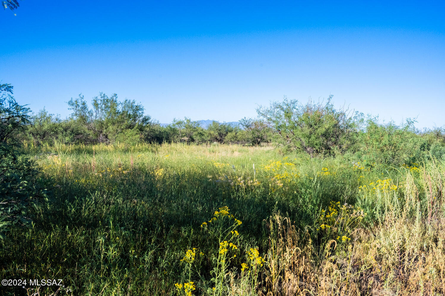 Arizona Sun Sites - Land