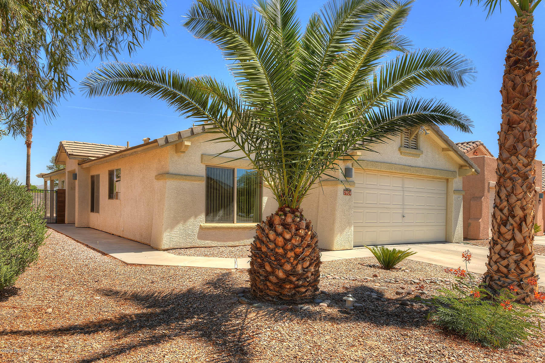 Continental Ranch Copper Moon (1-144) - Residential