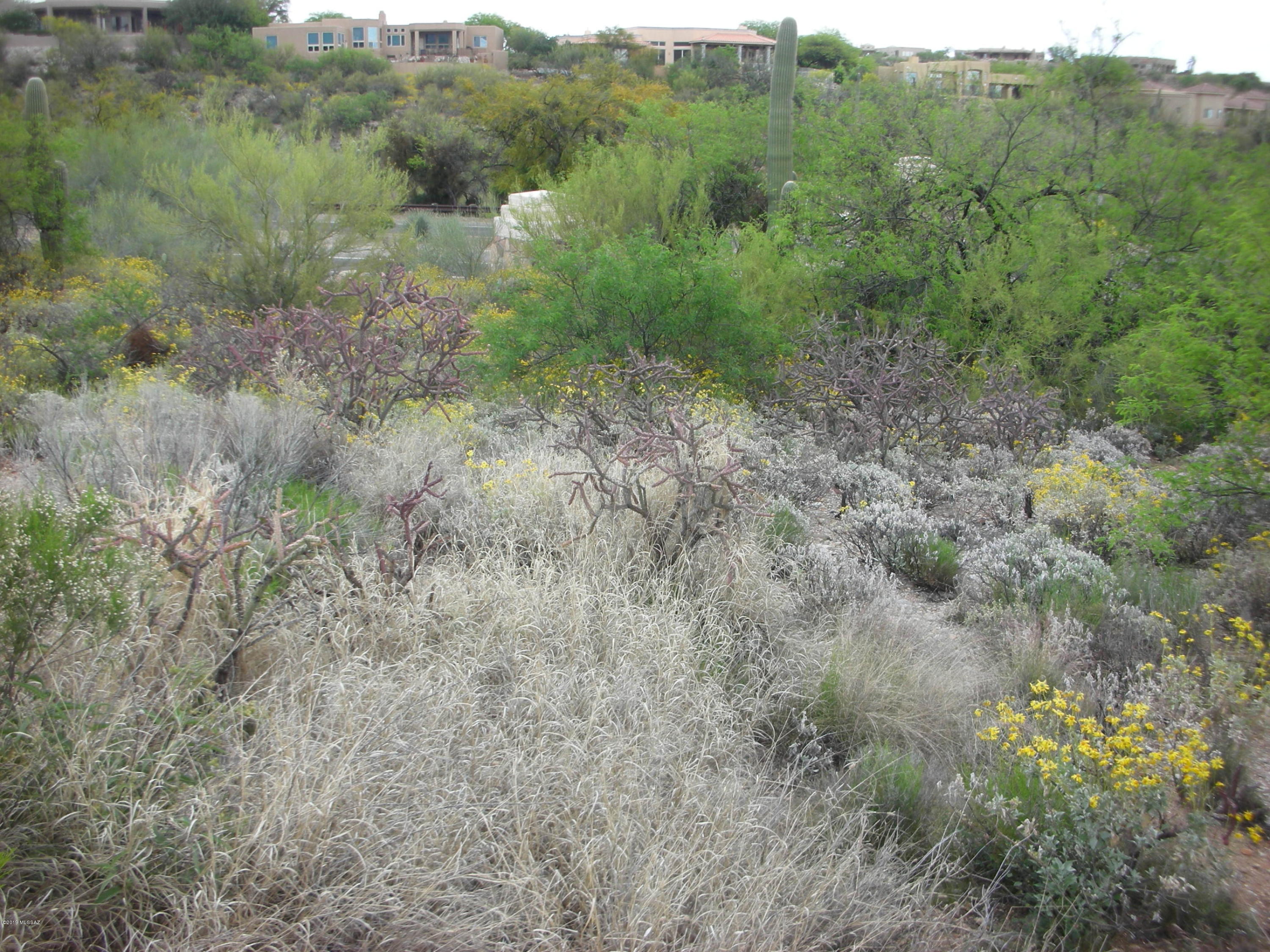 Regal Manor Estates (1-23) - Land
