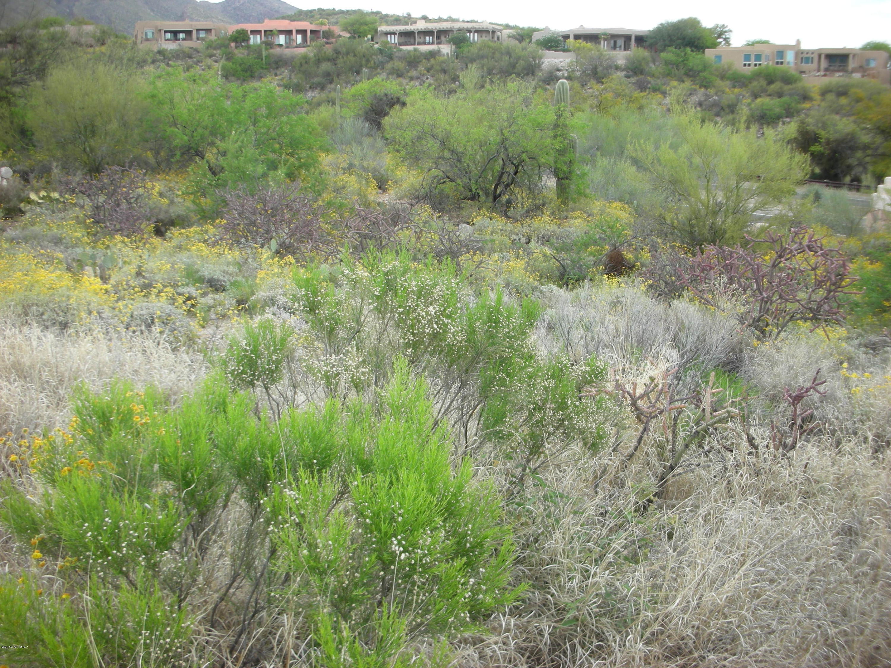 Regal Manor Estates (1-23) - Land