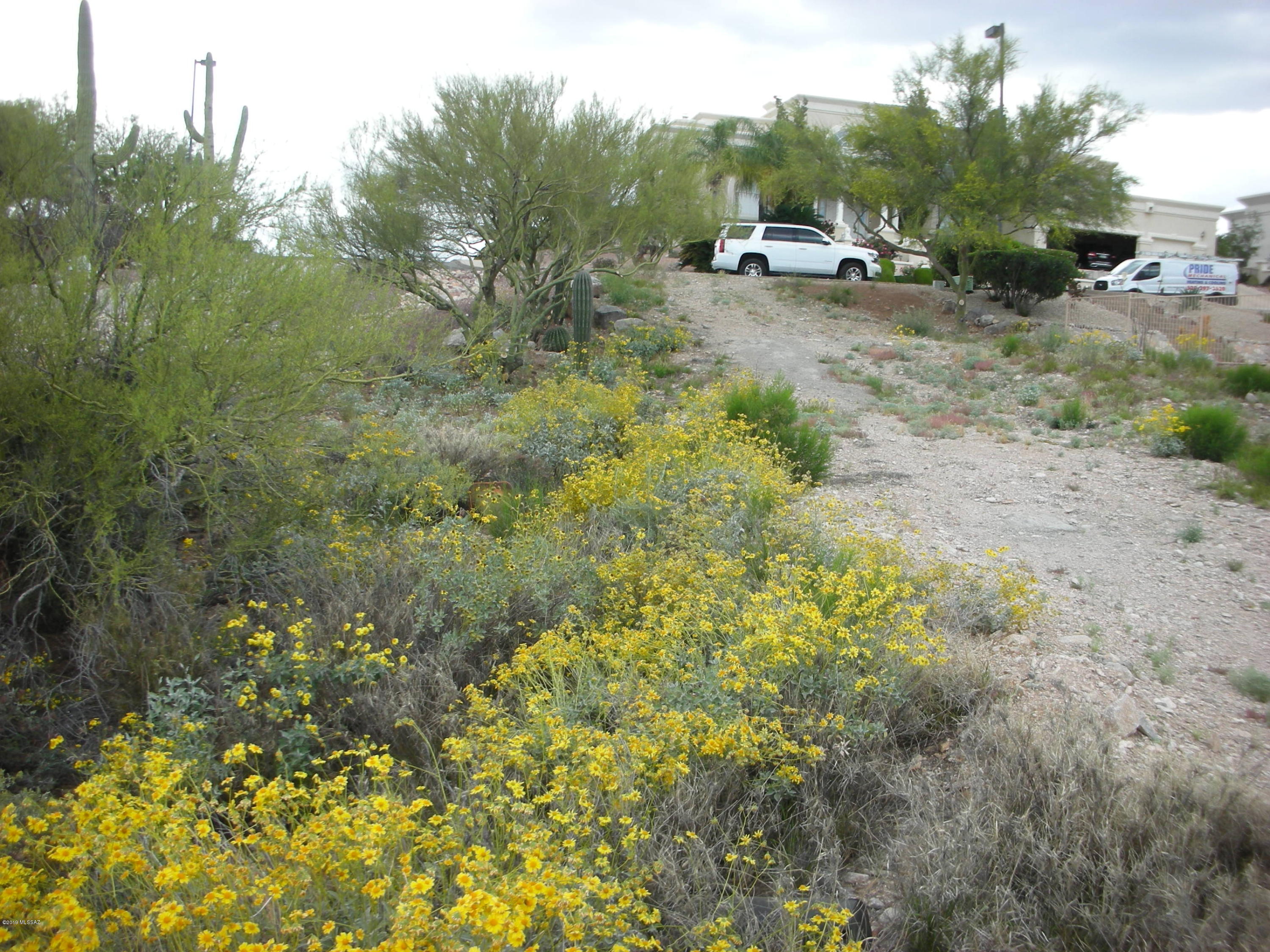 Regal Manor Estates (1-23) - Land
