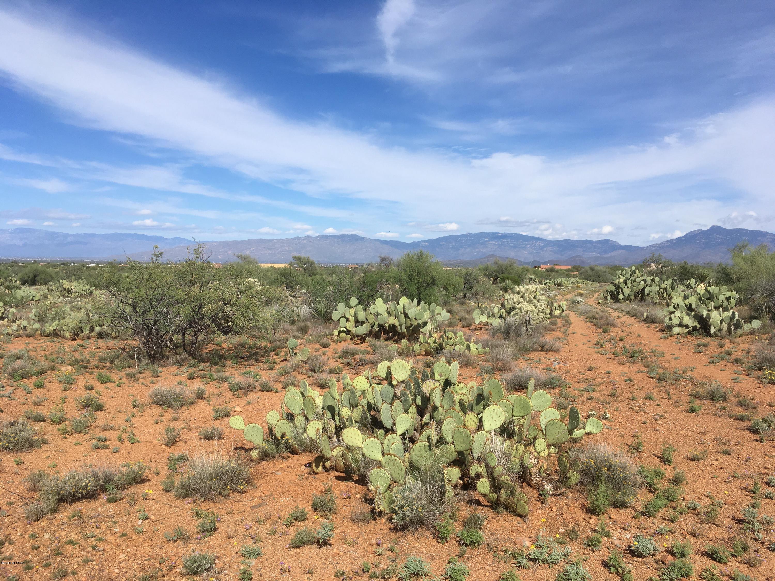 Natural desert - undeveloped subdivision - roads scrapped and smooth - a deal on over an acre in Vail