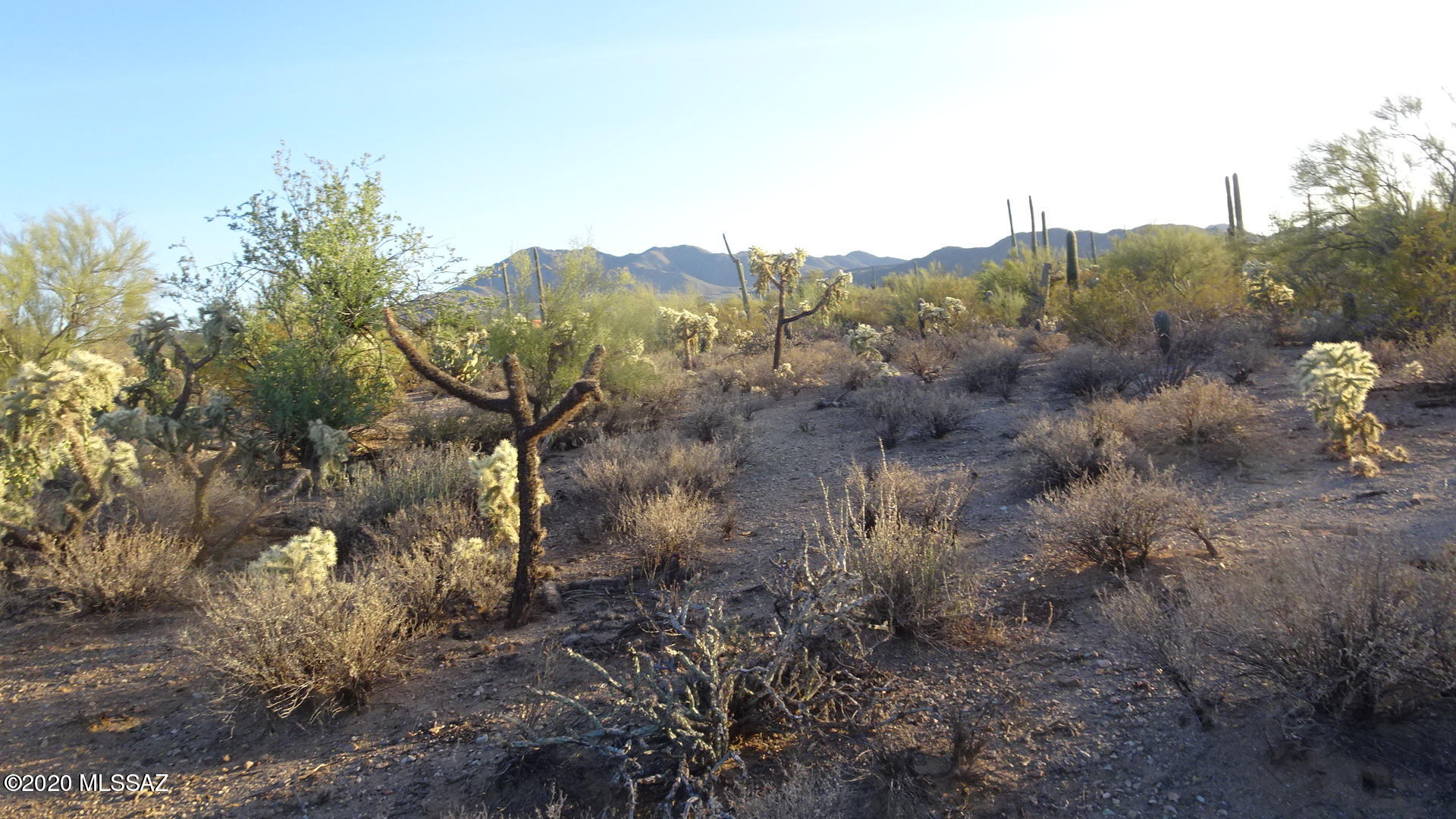 Absolutely pristine 4+ acre homesite with abundant Sonoran Desert flora. Expansive views in all directions just outside Saguaro National Park. No Homeowners Association. East drive to major shopping and I-10 access. Builder services available. Trico Electric and Avra Water available. A rare opportunity. Three additional 4 acre parcels and a 23+ acre parcel available. Rural Homestead zoning. There is no official address, 6700 N Tula is approximate.