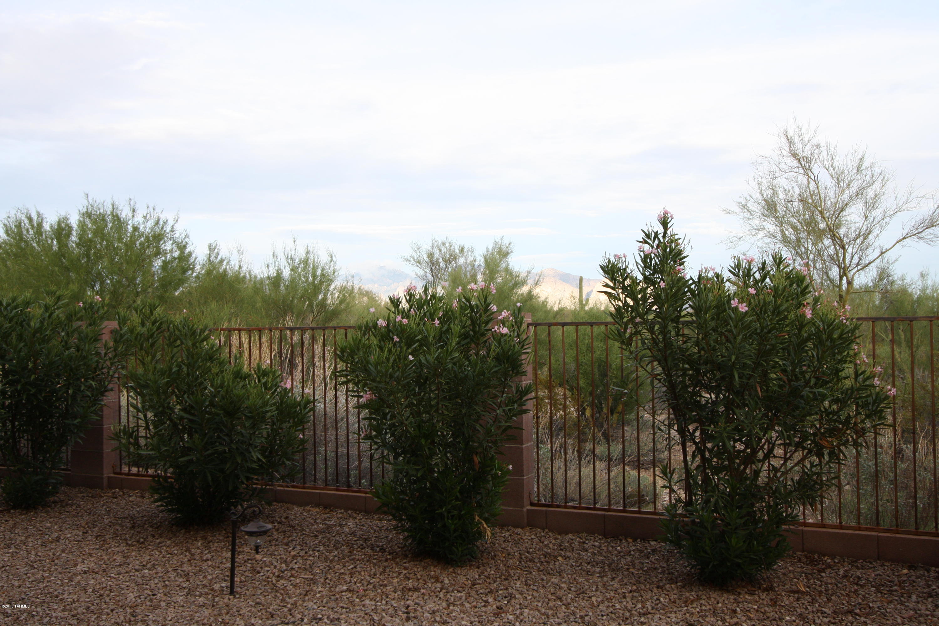 Preserve II at Dove Mtn (183-305) - Residential Lease