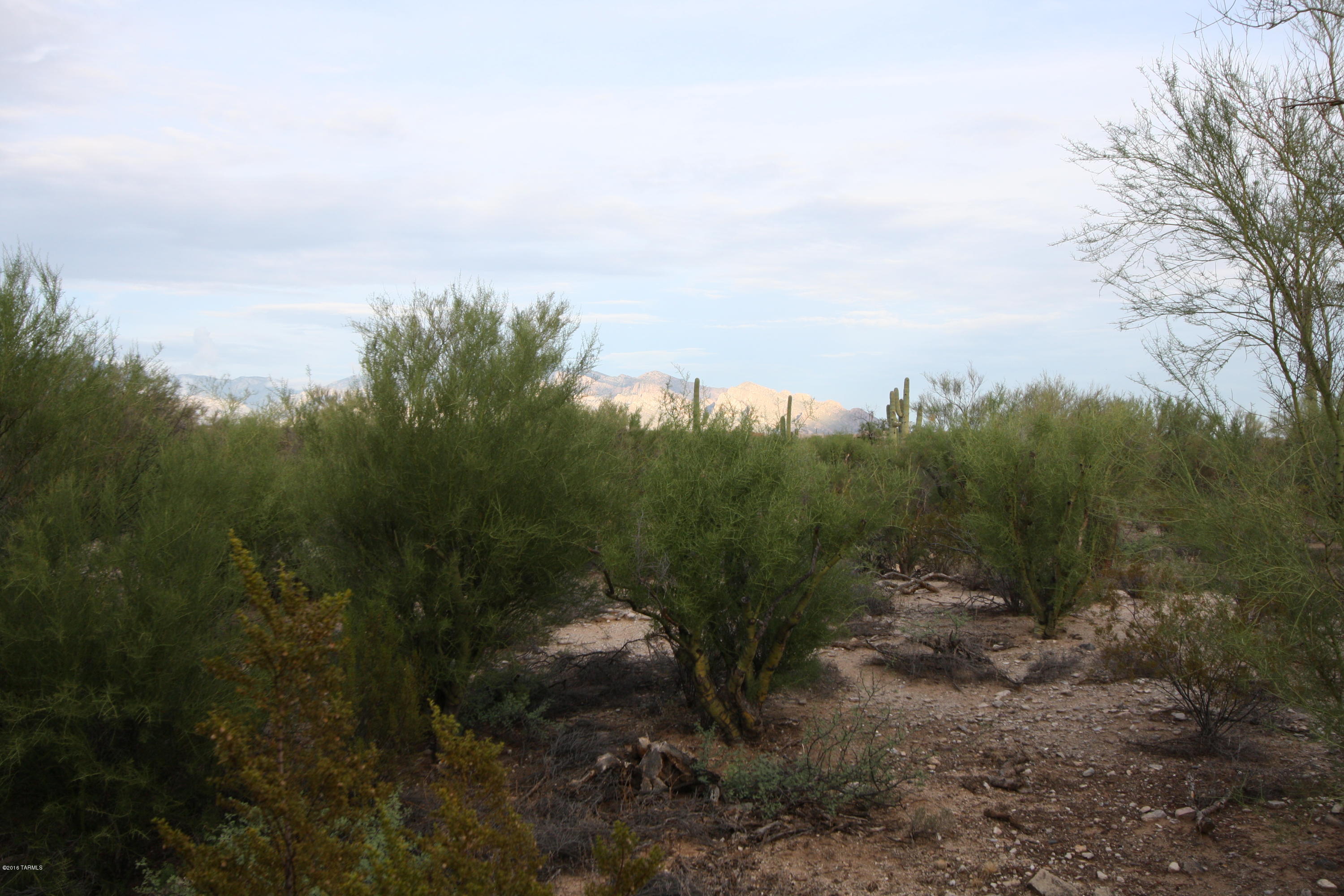 Preserve II at Dove Mtn (183-305) - Residential Lease