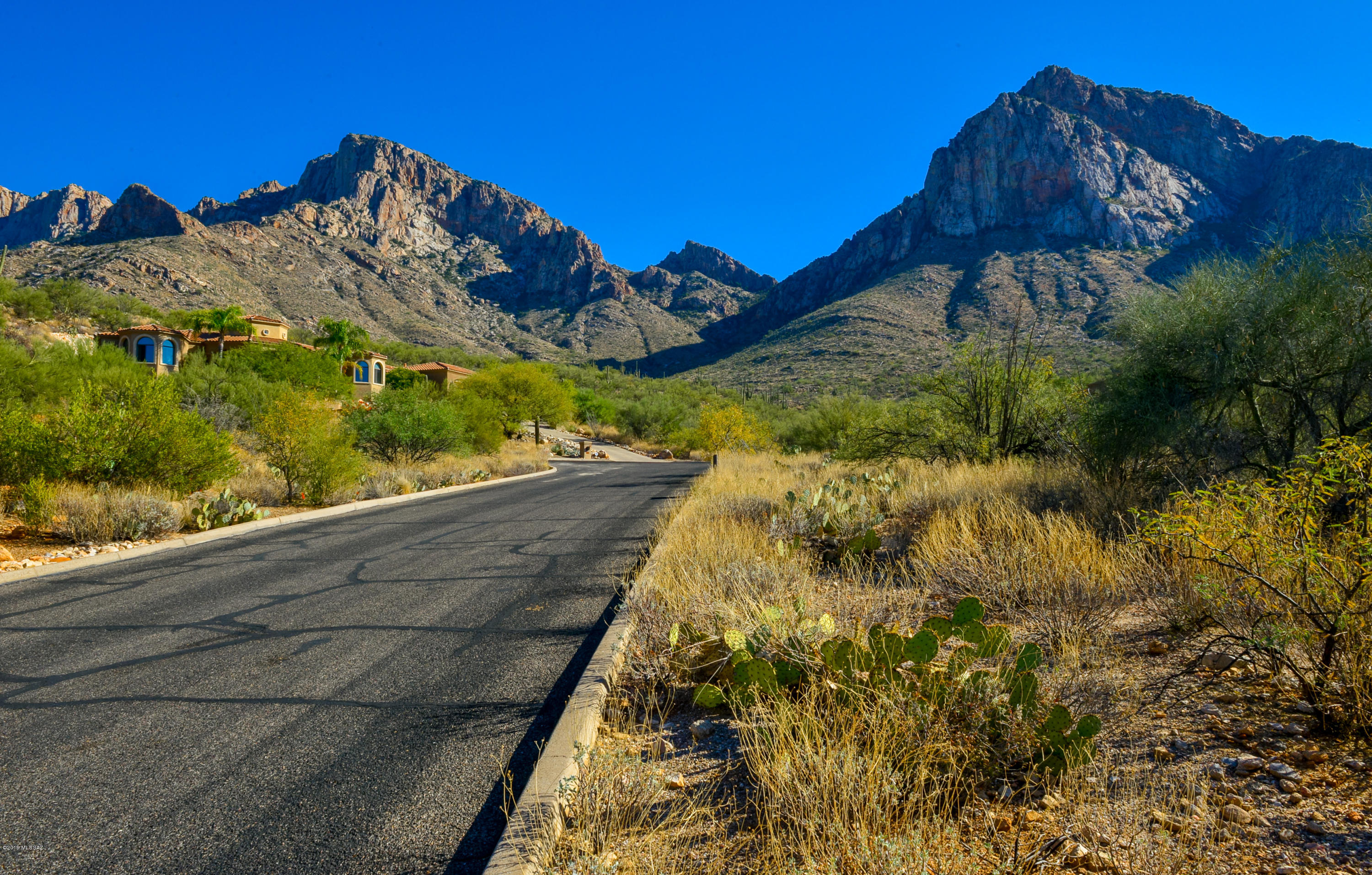 Very private cul de sac lot looking onto the majestic Catalina Mountains.   Bring you builder to see the possibilities of building your dream home in this well established area!   Studded saguaro landscape capturing the essence of the desert awaits you. Property is located in La Reserve, a guard gated community in Oro Valley, Arizona.   Close to amenities and just north of Tucson, Arizona.  Lot Lending Available!