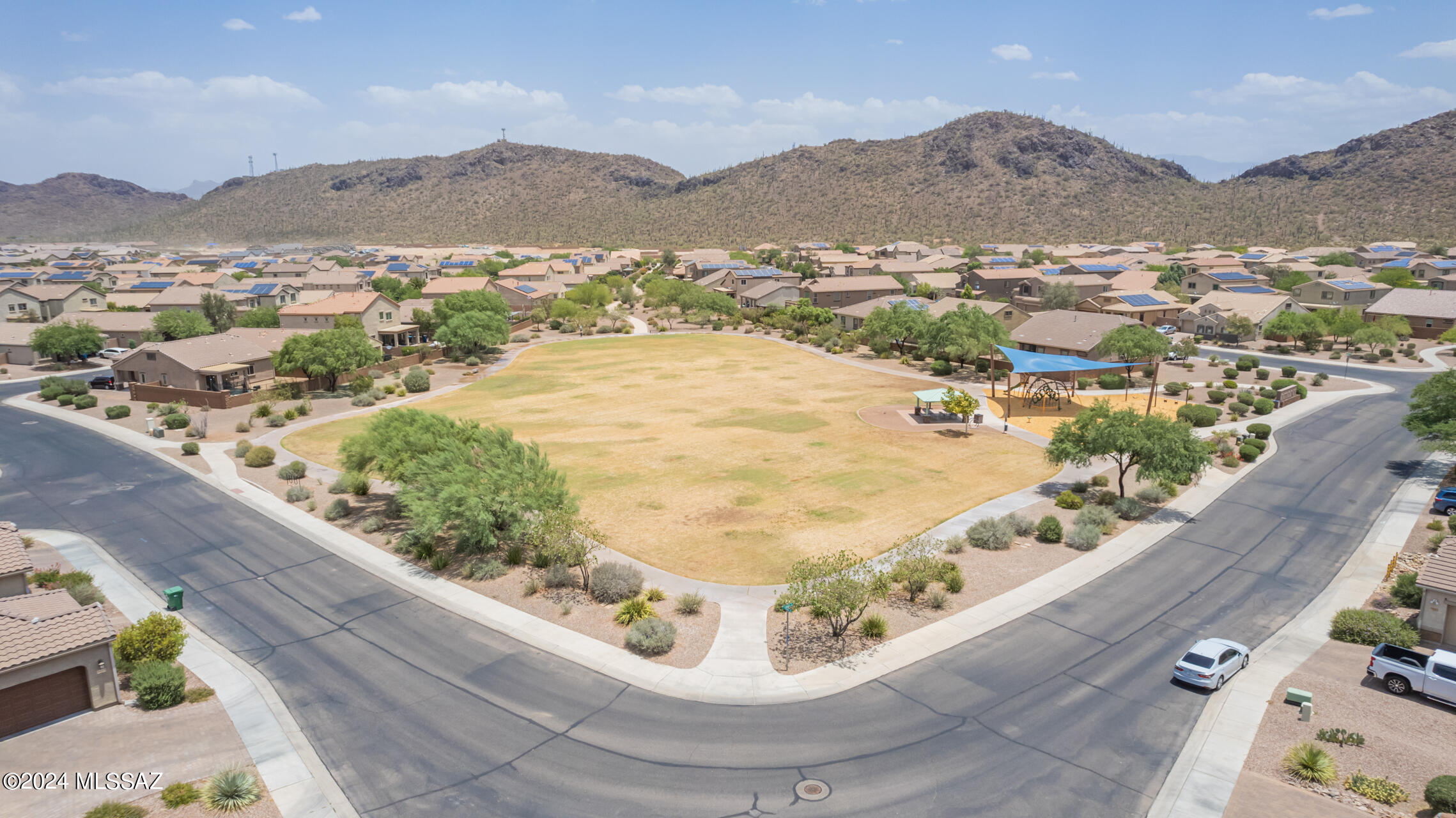 Saguaro Bloom 7A - Residential
