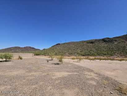 Saguaro Bloom 7A - Residential