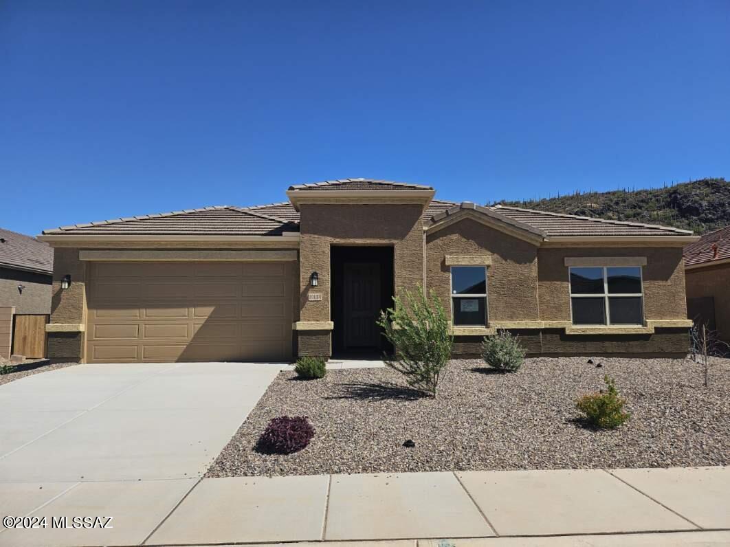 Saguaro Bloom 7A - Residential