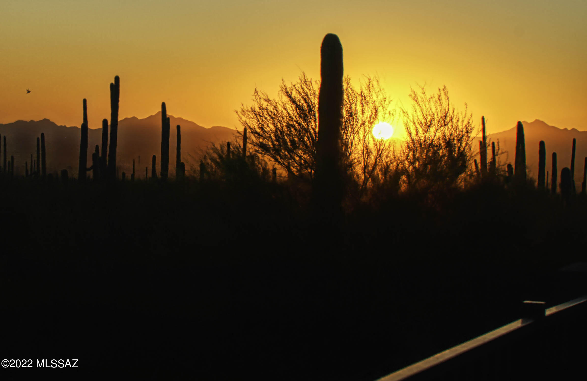 Del Webb At Dove Mountain SQ20131930189 - Residential