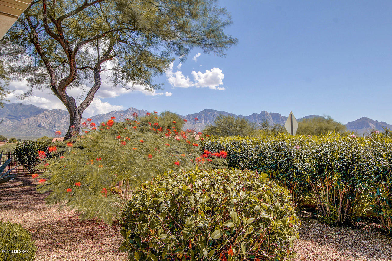 Sun City Vistoso Unit 7(1-227) - Residential