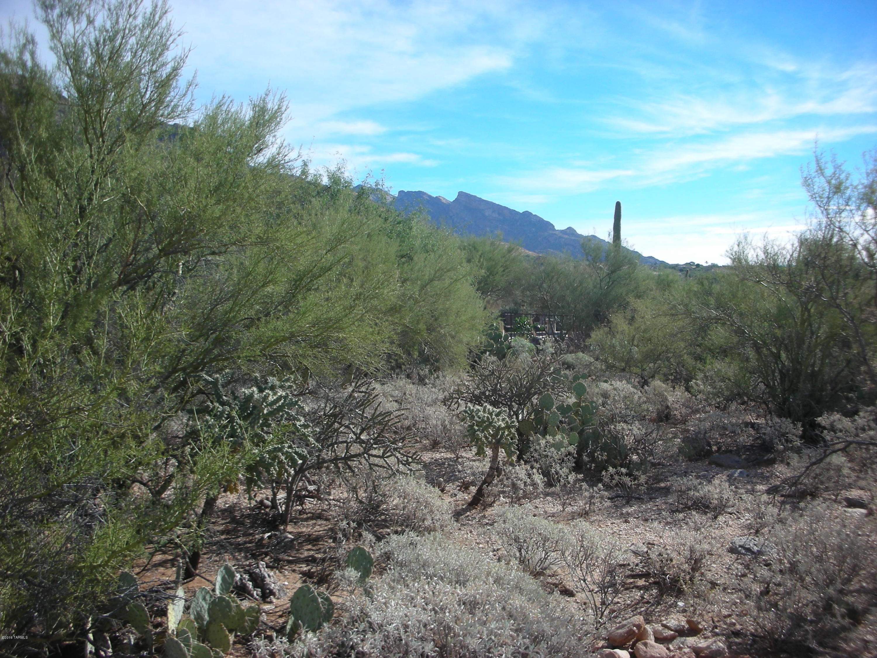 Pima Canyon Estates (1-176) - Land