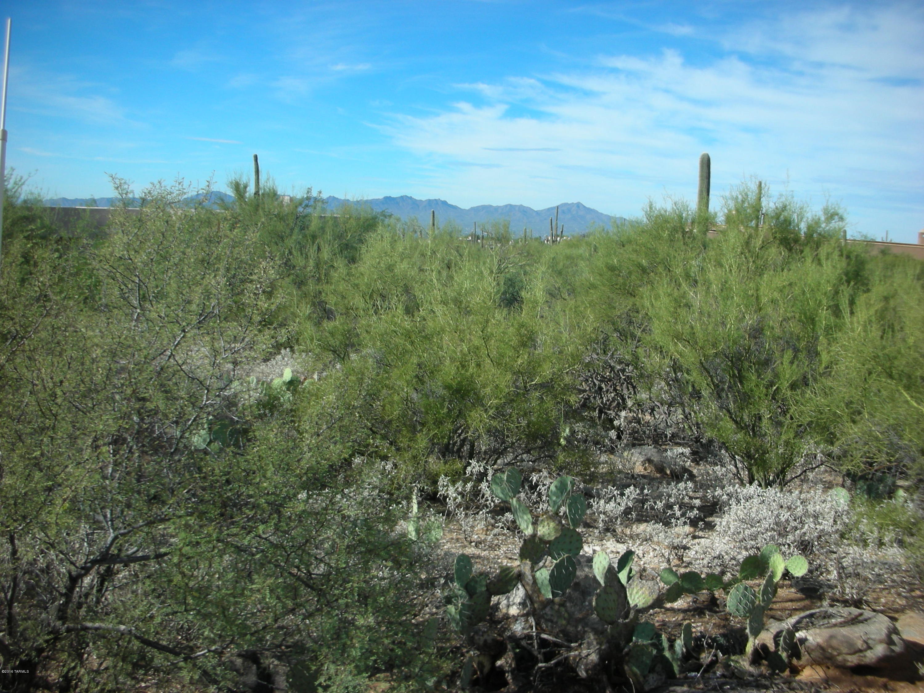 Pima Canyon Estates (1-176) - Land