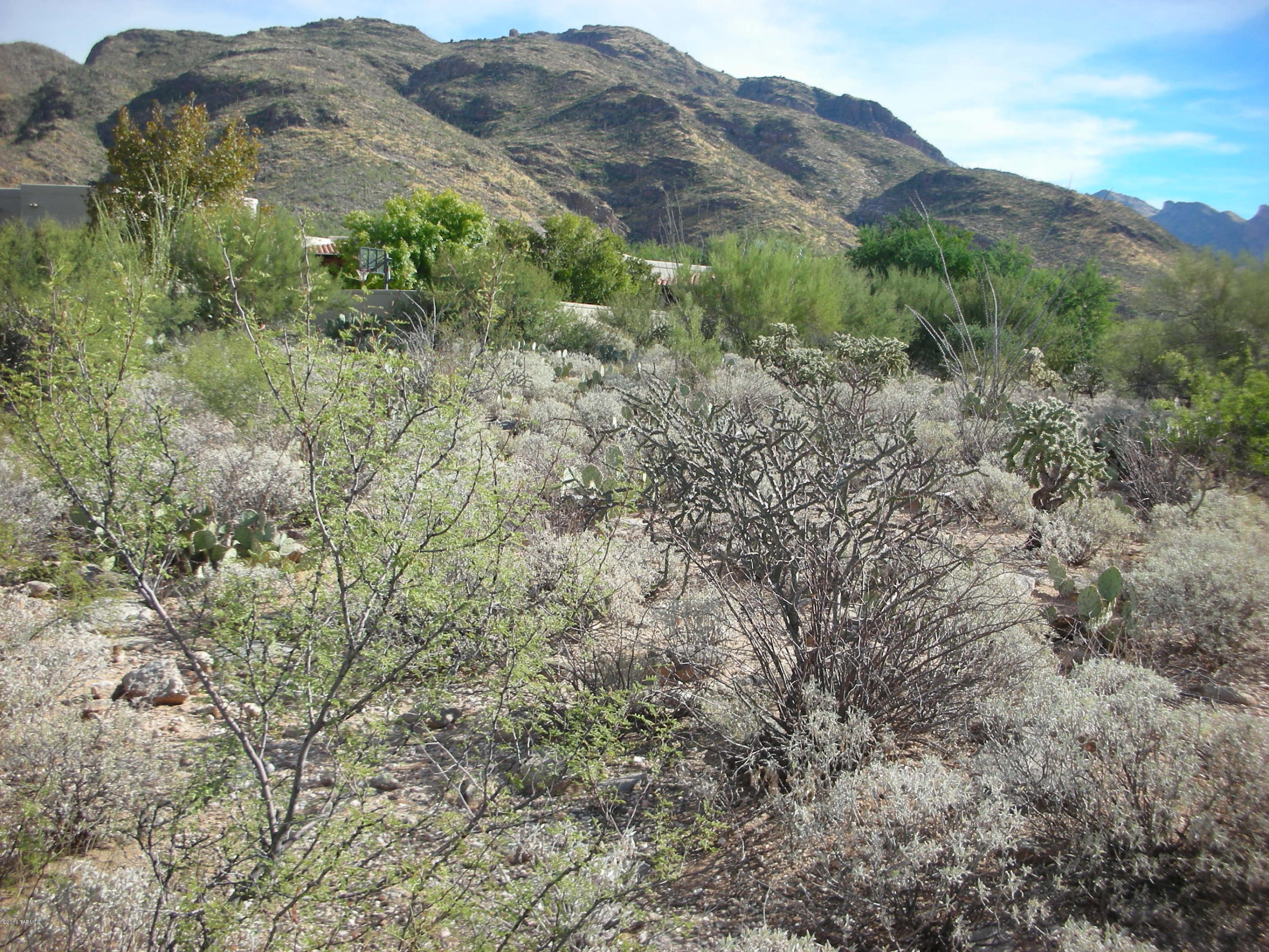 Pima Canyon Estates (1-176) - Land