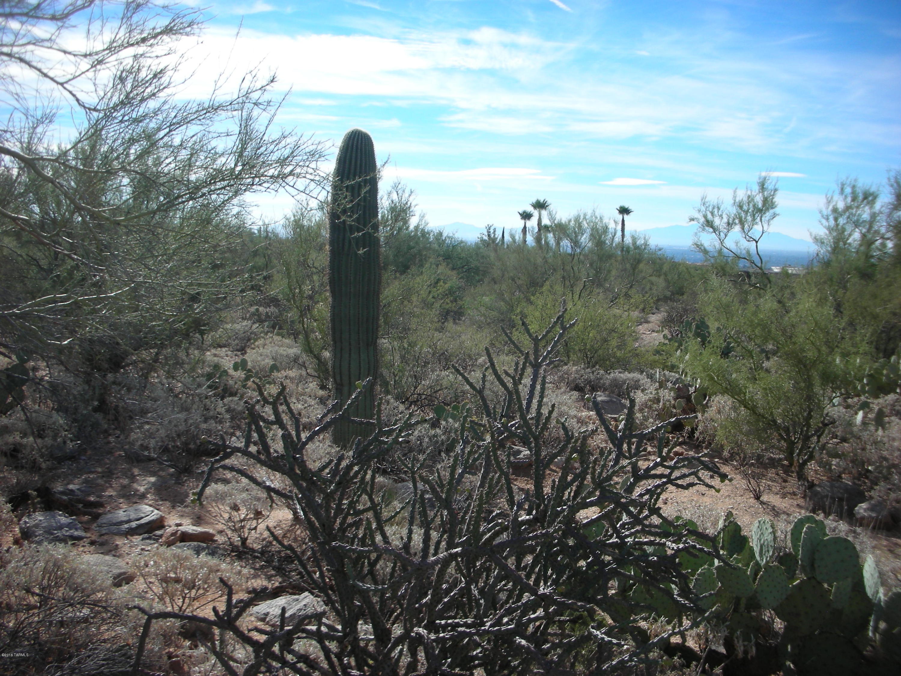 Pima Canyon Estates (1-176) - Land
