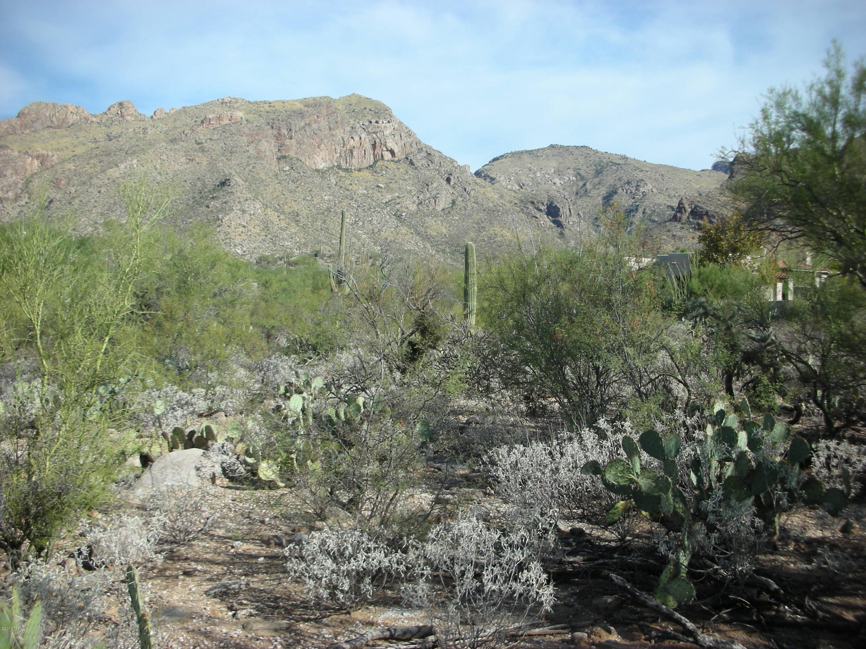 Pima Canyon Estates (1-176) - Land