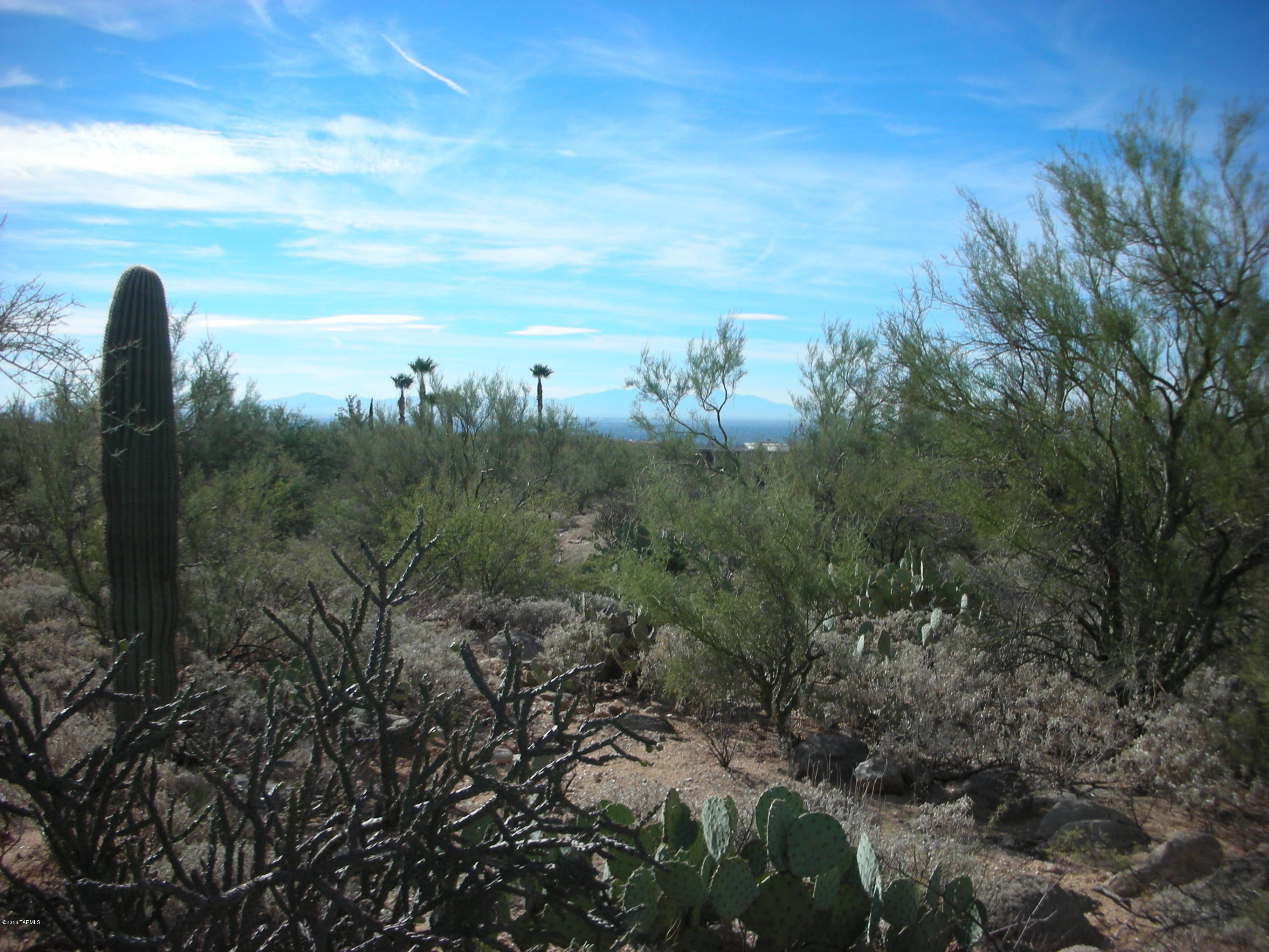 Pima Canyon Estates (1-176) - Land