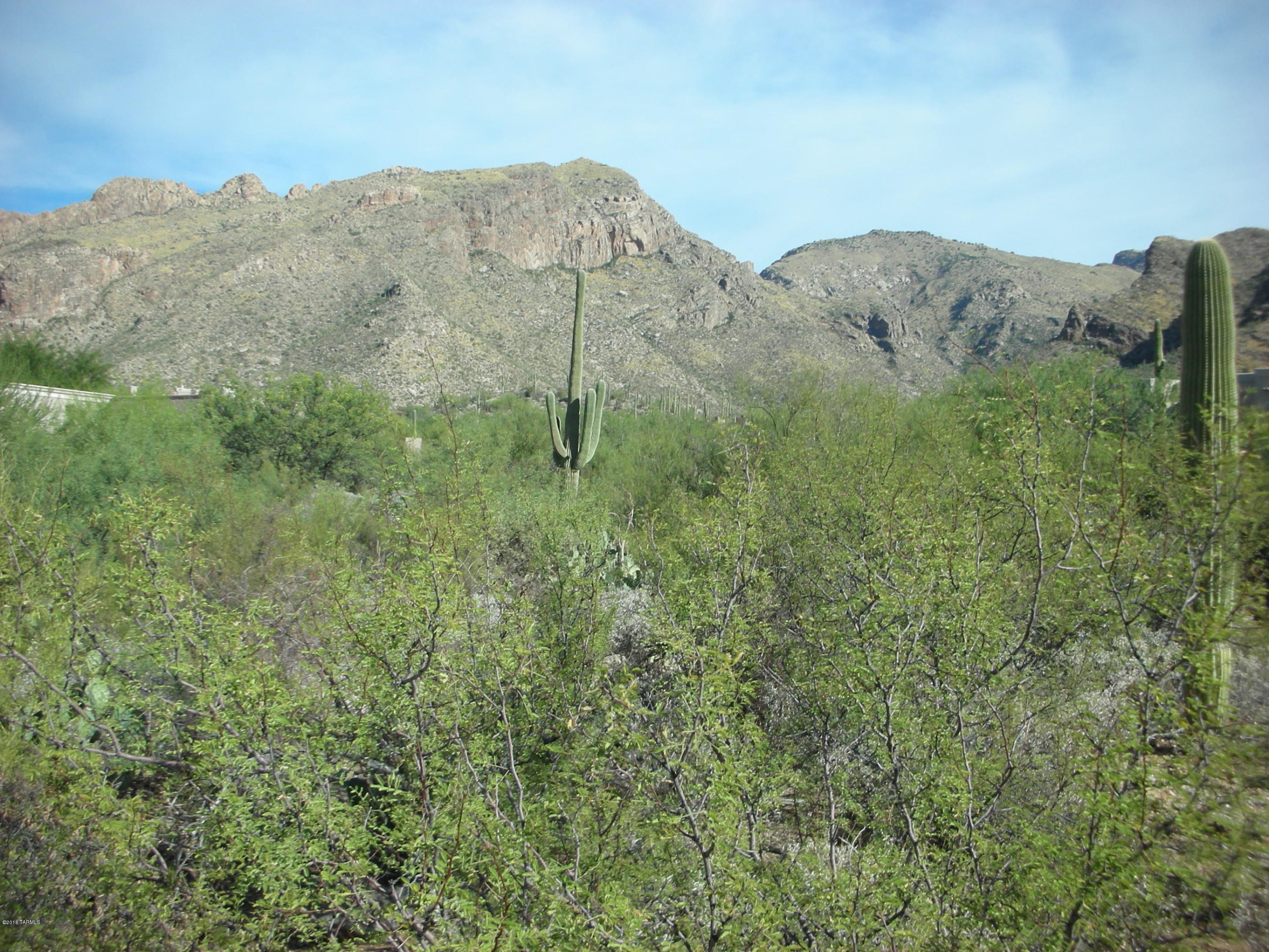 Pima Canyon Estates (1-176) - Land