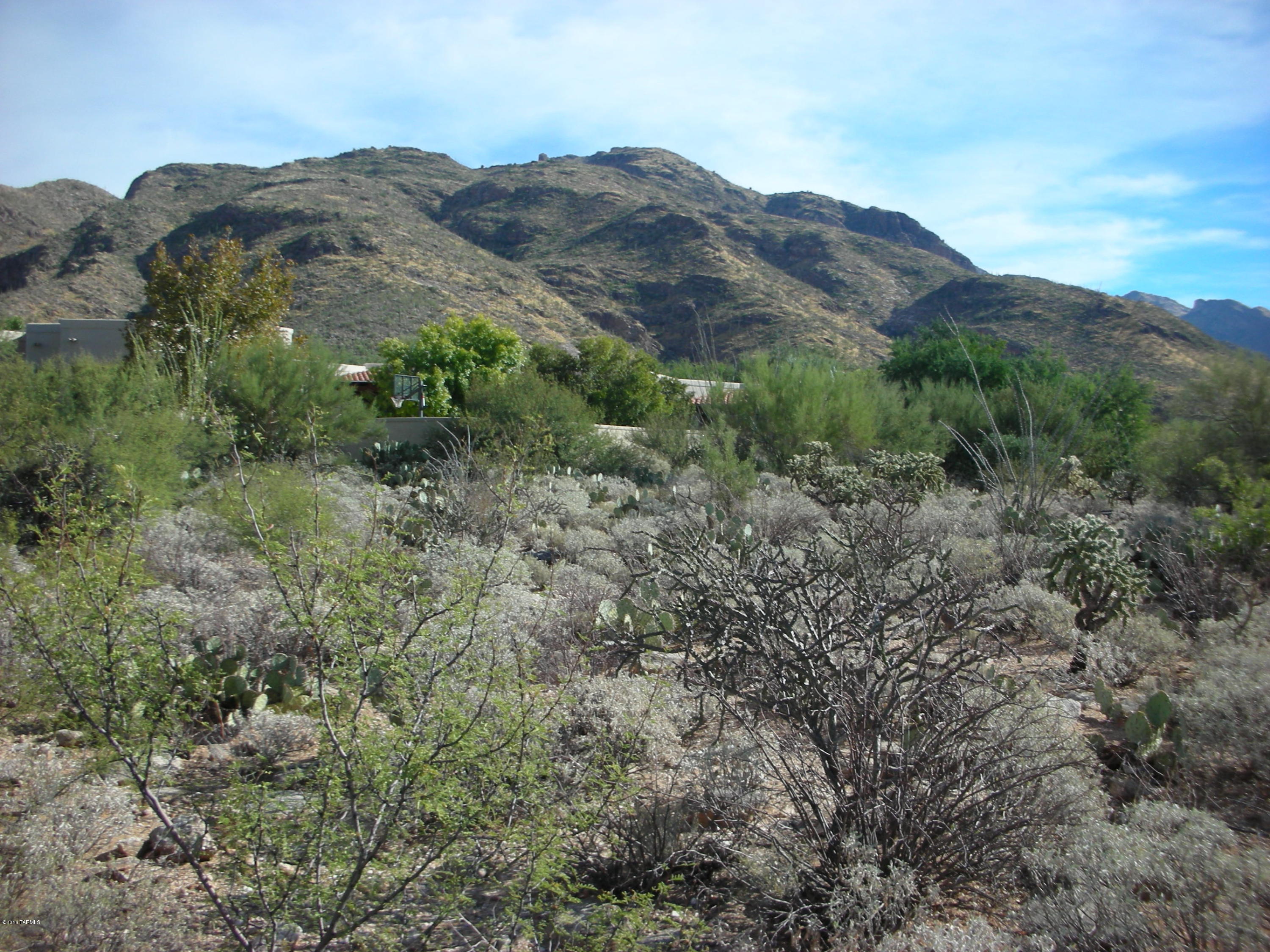 Pima Canyon Estates (1-176) - Land