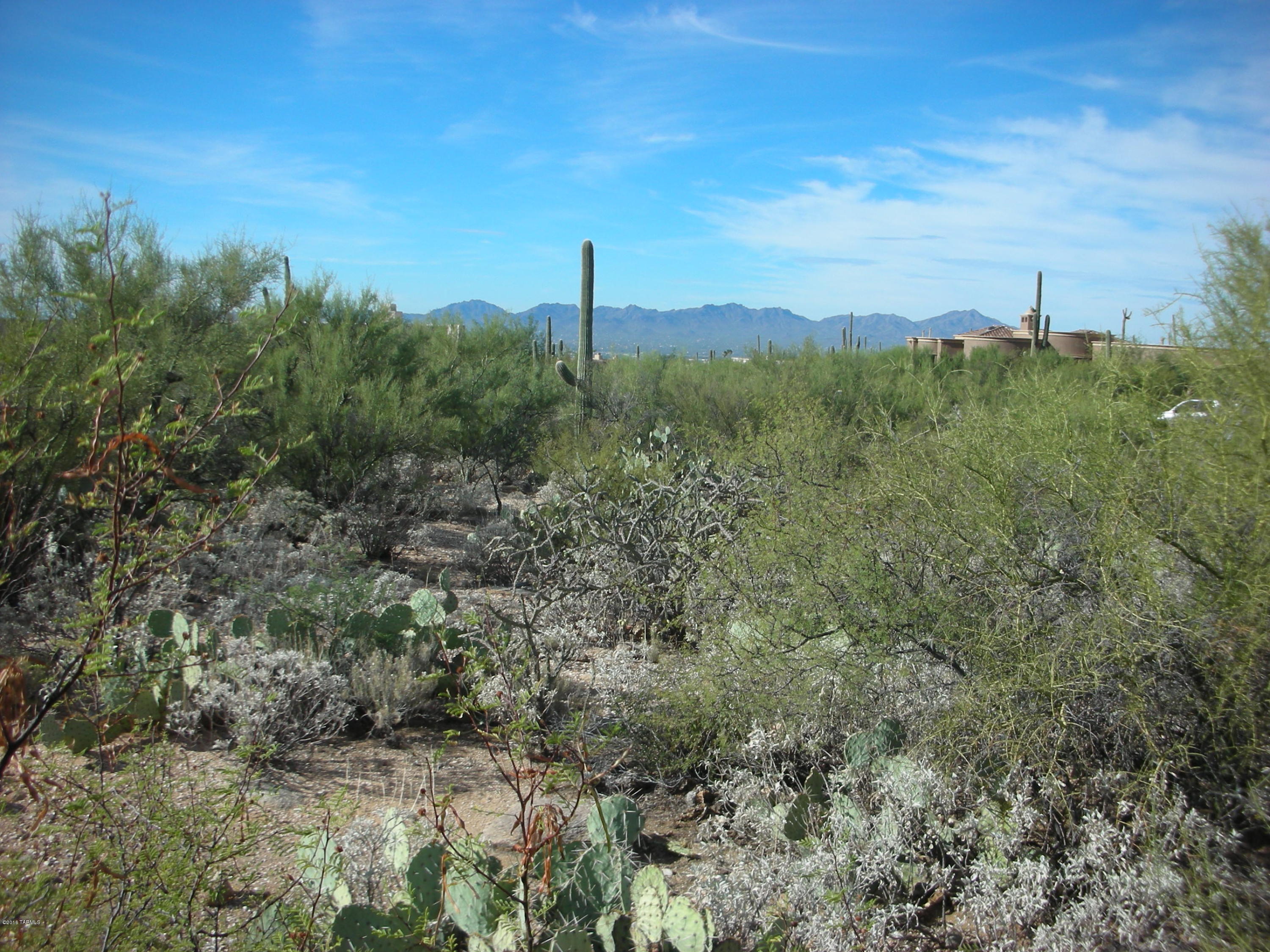 One of the last UNBUILT SITES on BEAUTIFUL and QUIET, CANYON SPIRIT WAY in the central part of this SOUGHT AFTER, GATED, FOOTHILLS subdivision. GORGEOUS CATALINA MTN, CANYON, and CITY VIEWS are fully established by surrounding homes. VERY GENTLE, EASY BLDG PAD well BACK from STREET for ADDED PRIVACY. ENTRY LEVEL PRICE for WONDERFUL SITE. Follow flags to center. See attached Doc's.