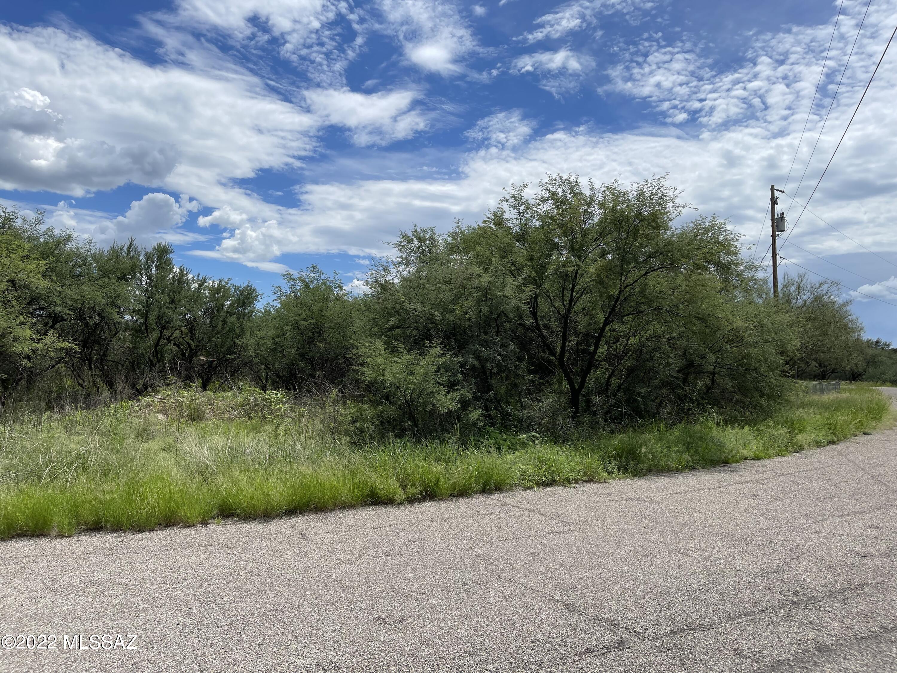Rio Rico Villas 13 - Land