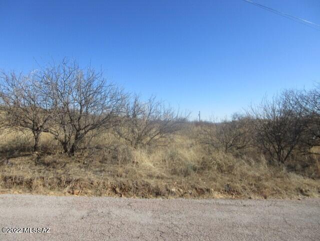 Build your dream home on this nice flat parcel with beautiful mountain views!