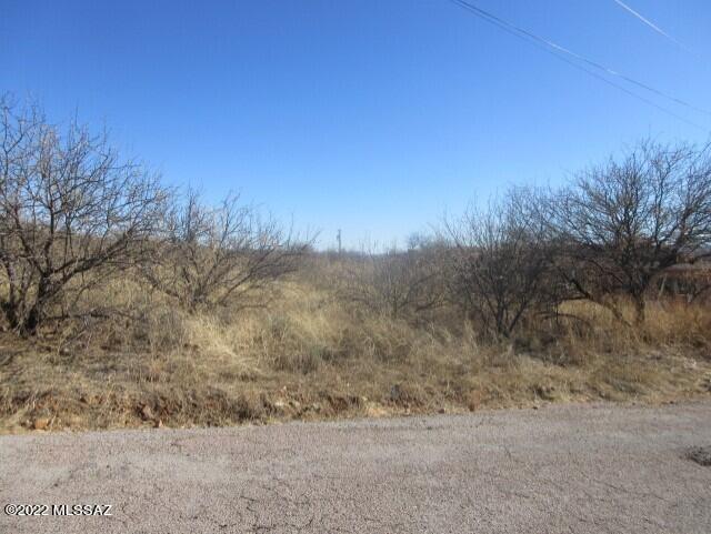 Rio Rico Ranchettes 4 - Land