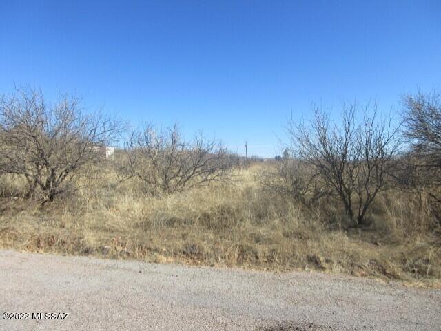 Rio Rico Ranchettes 4 - Land