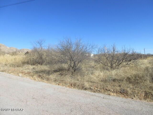 Rio Rico Ranchettes 4 - Land