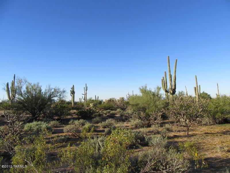 Davis Ranch Road now paved within 300 feet of the nw corner! Adjacent to state land! 5 lush acres of natural Sonoran desert. Beautiful saguaro, palo verde and mesquite tree, some ironwood. Buck staghorn cholla, ocotillo. Water/power/telephone available. Easy access in the beautiful desert near the Tortolita Mountains. Located east of Interstate 10 between Marana and Red Rock. Adjacent 5 acres to the south also available for $55,000
Listing agents live in the area, call for easy show.