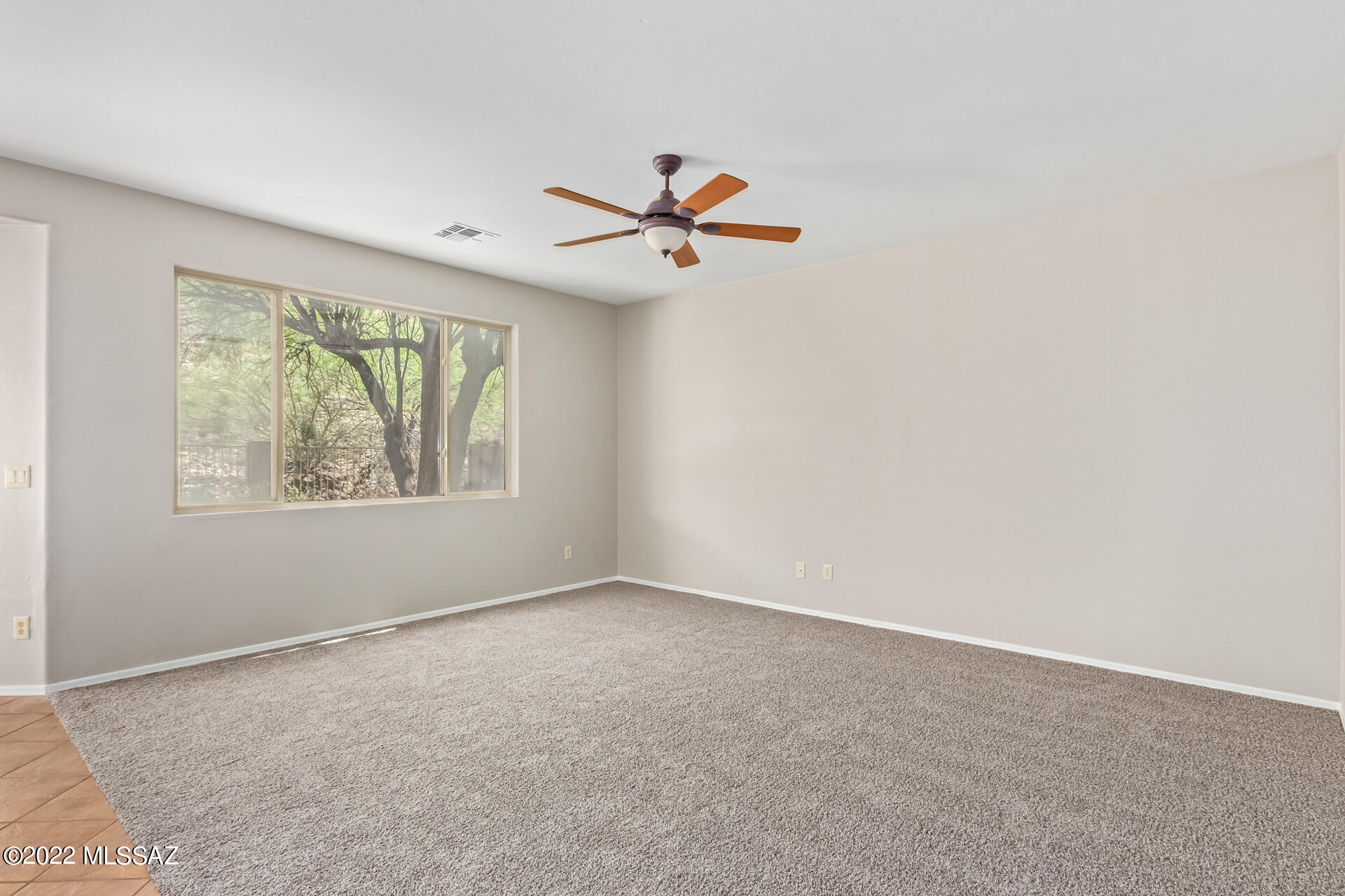 Sabino Mountain (1-290) - Residential