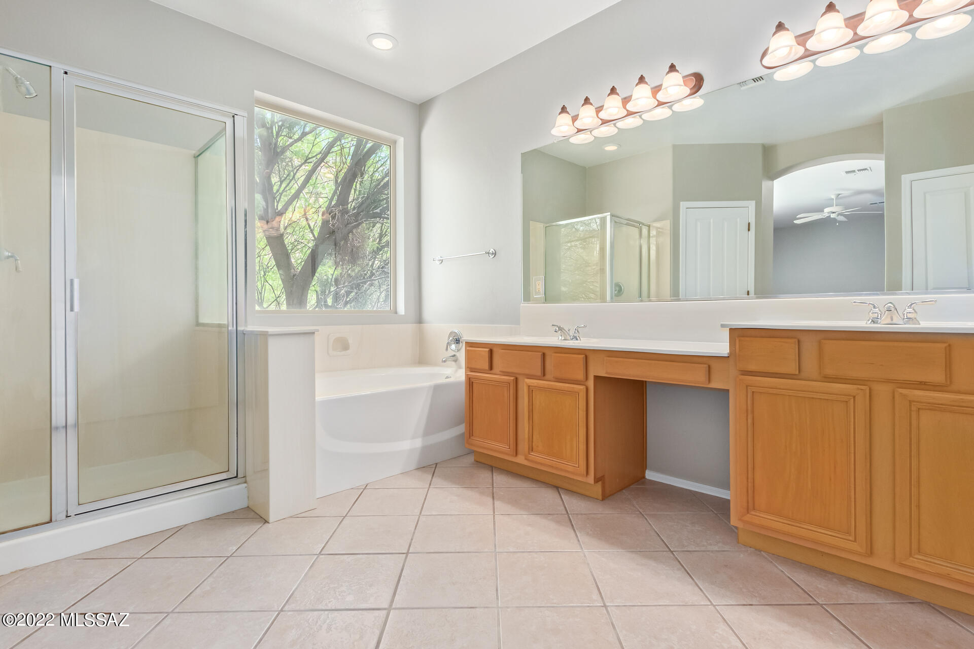 Sabino Mountain (1-290) - Residential