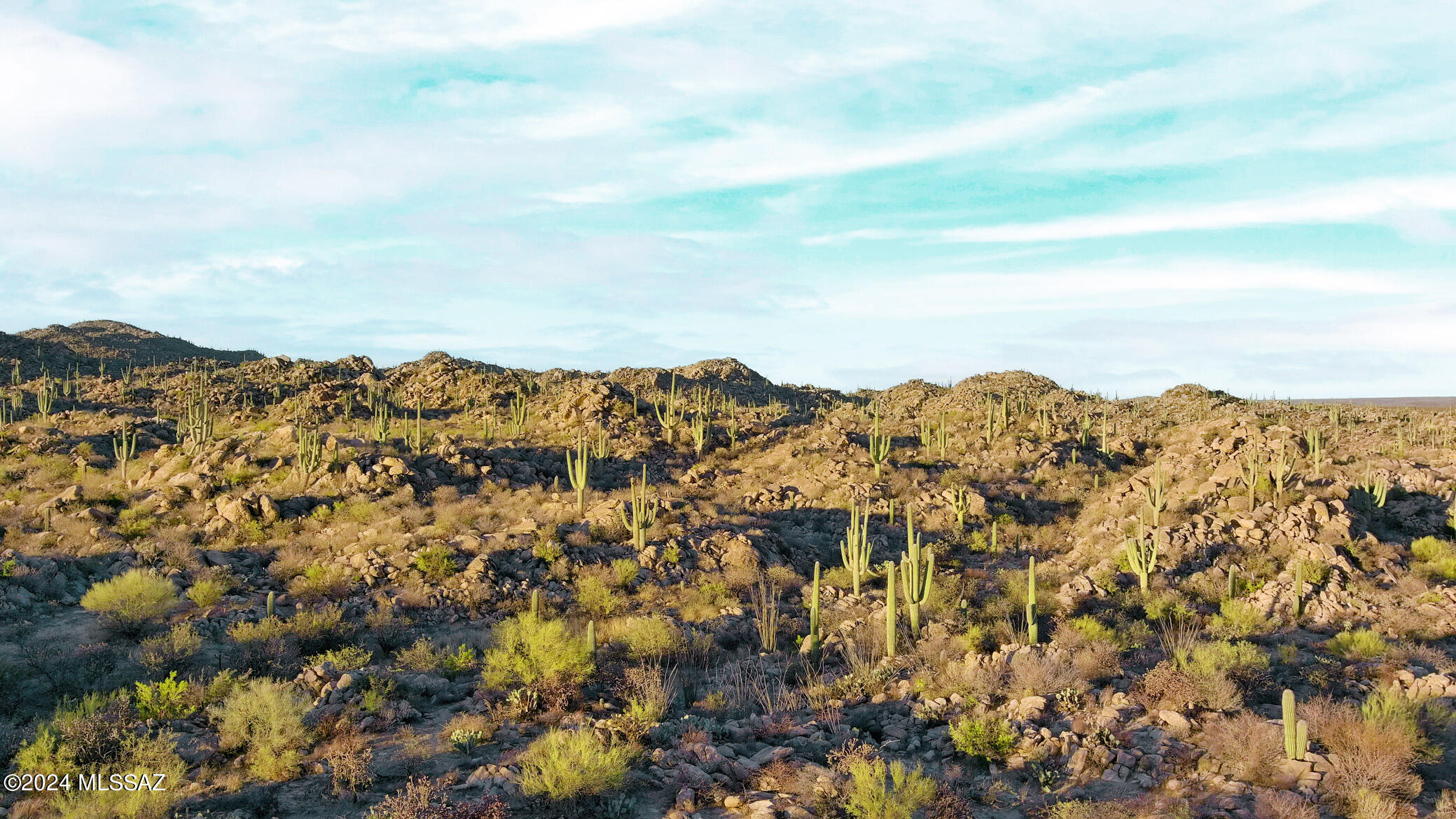 Stone Canyon IV - Land
